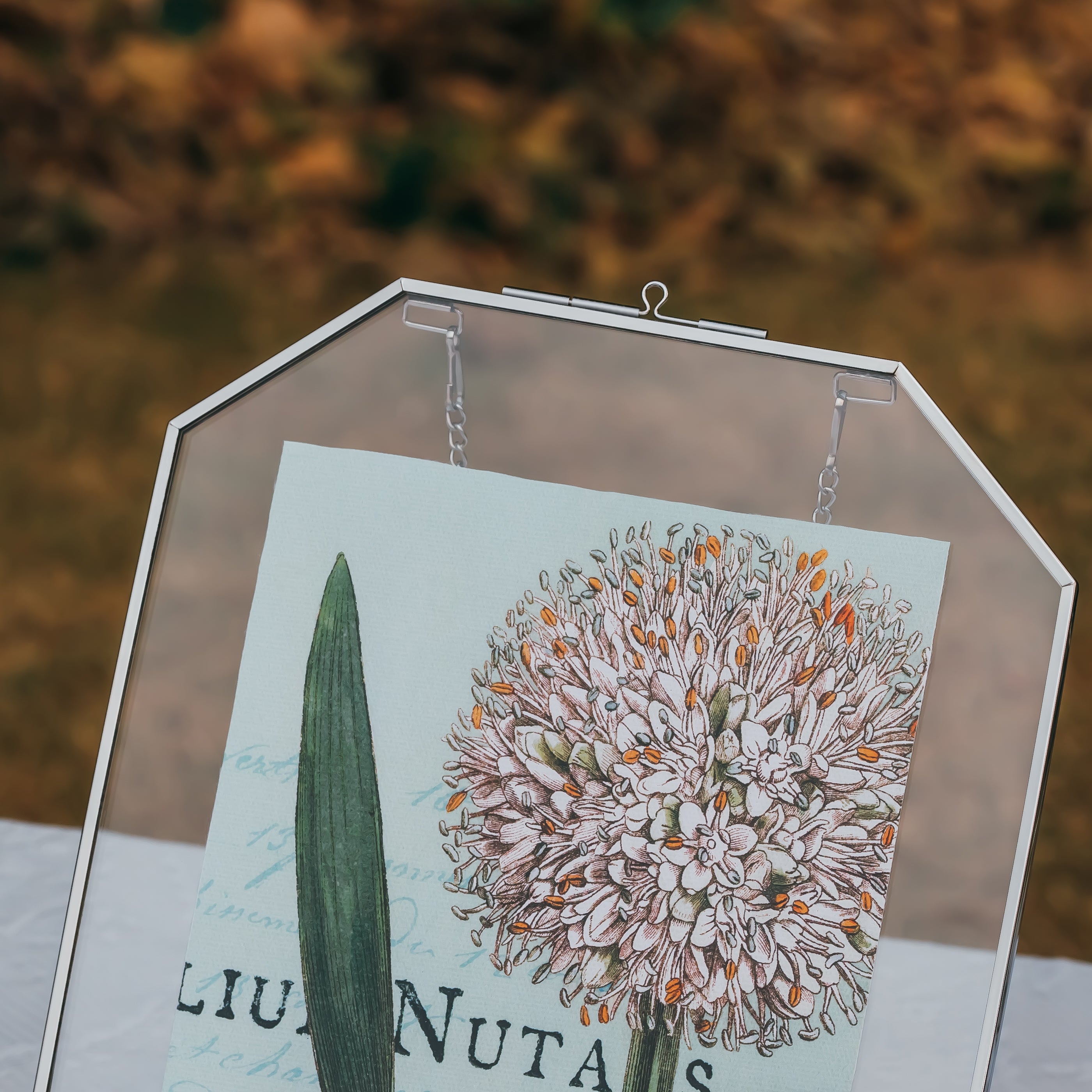 Wall Hanging Silver Long Octagon Herbarium Glass Frame for Pressed Flowers, Dried Flowers, Poster, Double Glass, floating Frame 8x10" - NCYPgarden