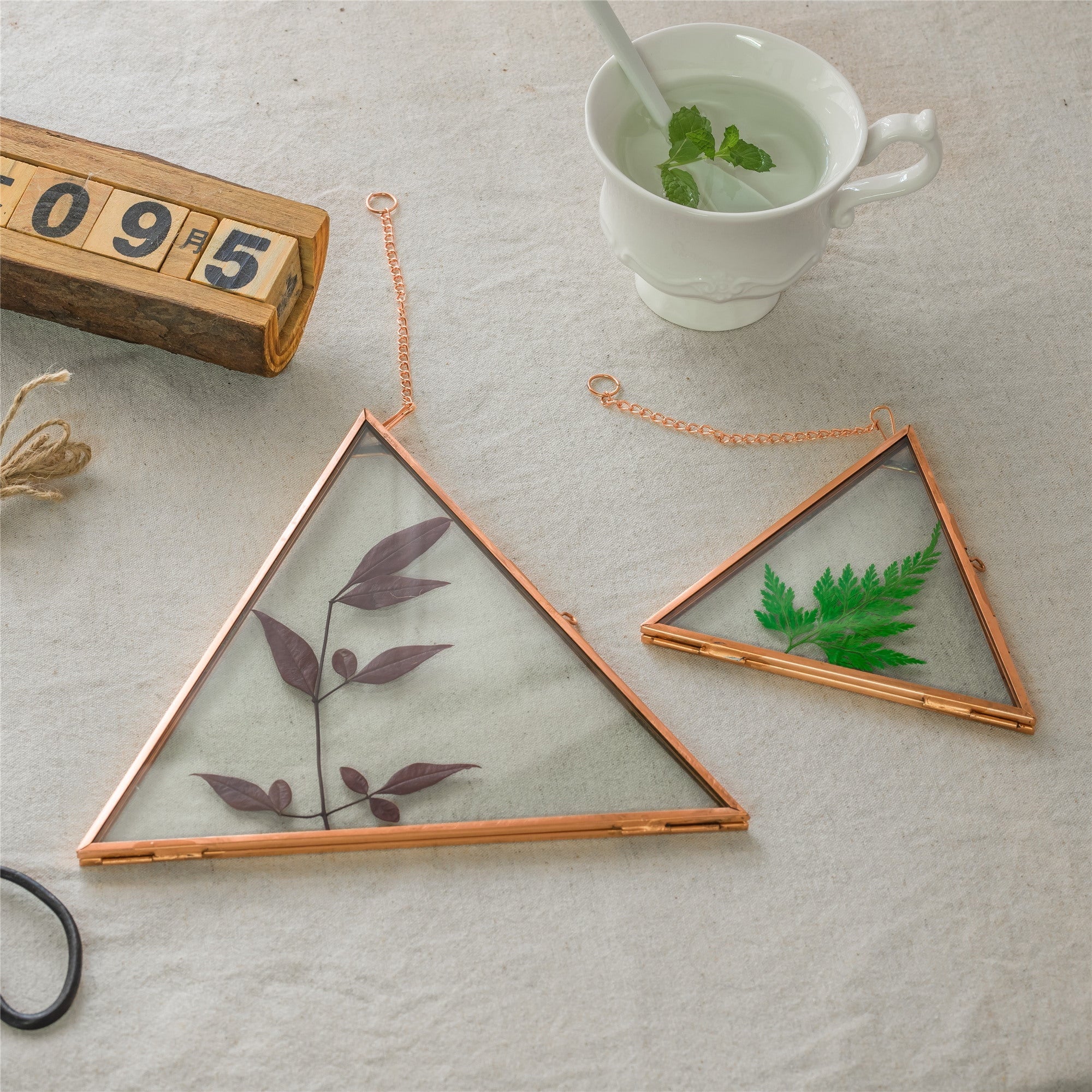 Hanging Triangle Herbarium Copper Glass Frame for Pressed Flowers Dried Flowers Poster - NCYPgarden