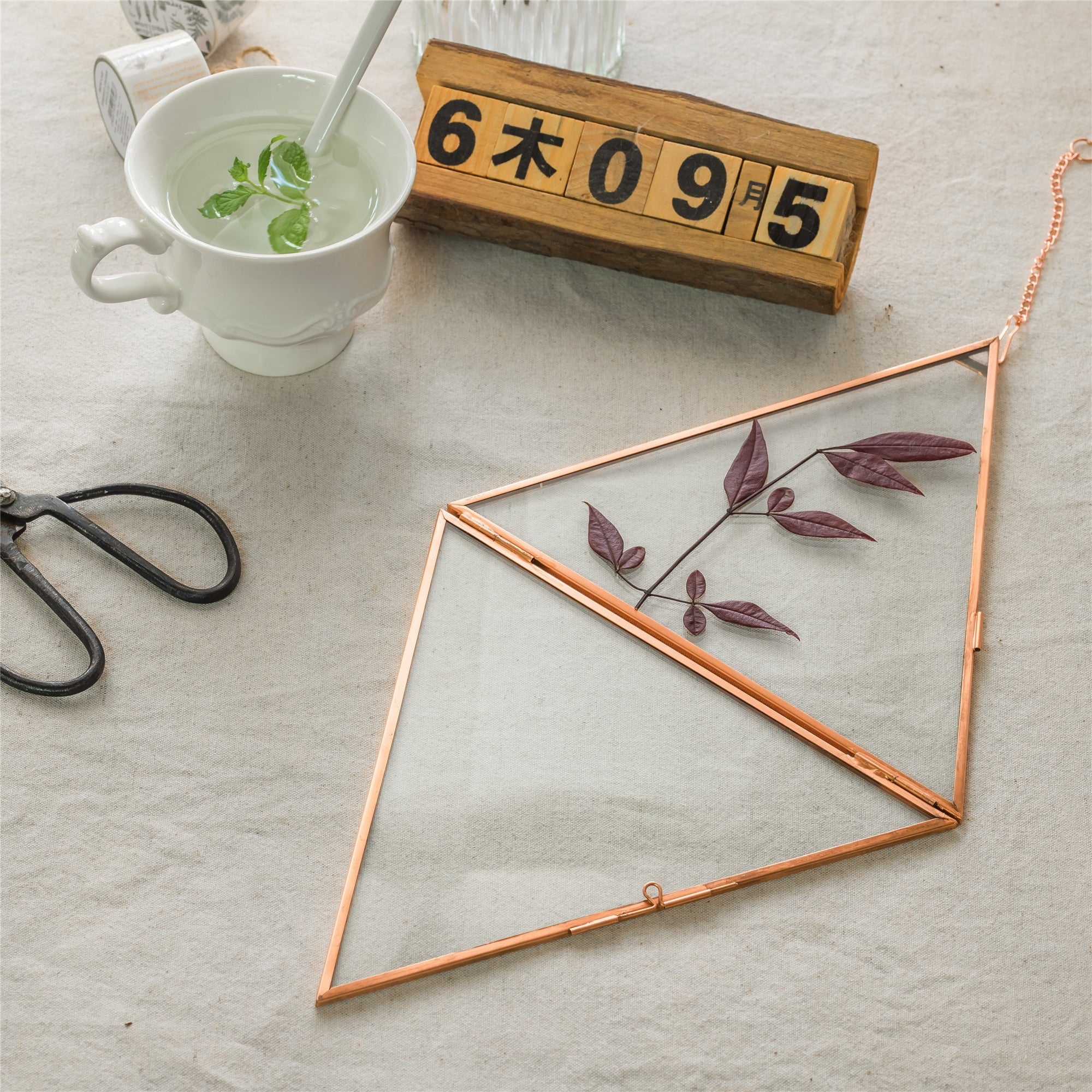 Hanging Triangle Herbarium Copper Glass Frame for Pressed Flowers Dried Flowers Poster - NCYPgarden