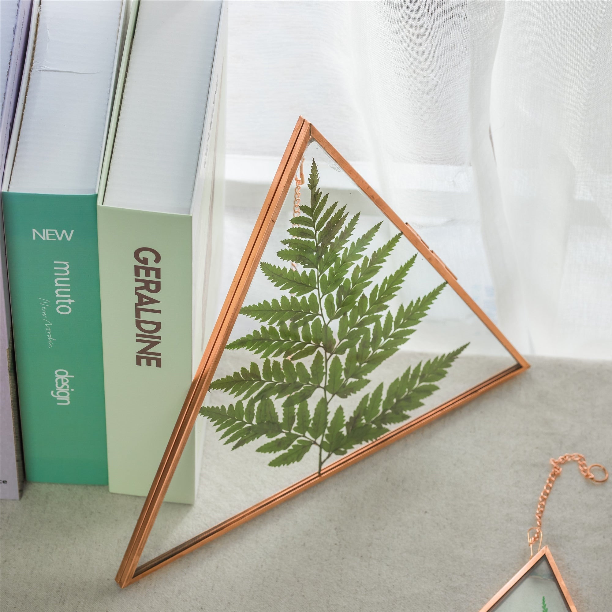 Hanging Triangle Herbarium Copper Glass Frame for Pressed Flowers Dried Flowers Poster - NCYPgarden