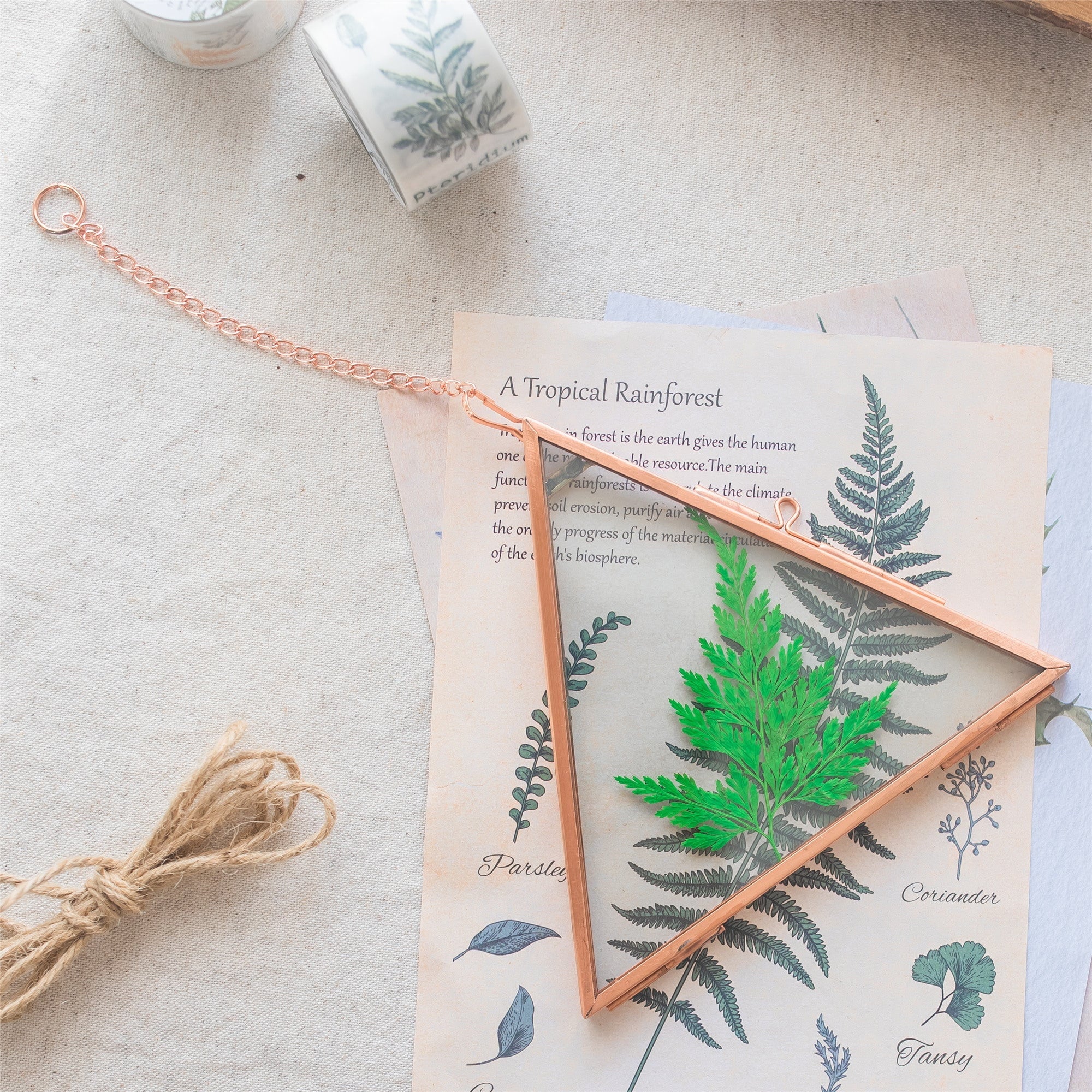 Hanging Triangle Herbarium Copper Glass Frame for Pressed Flowers Dried Flowers Poster - NCYPgarden