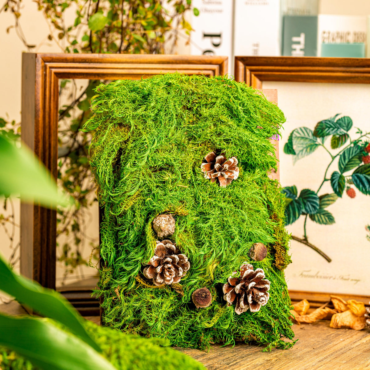 Moss Home Decor — PLANTHROPY