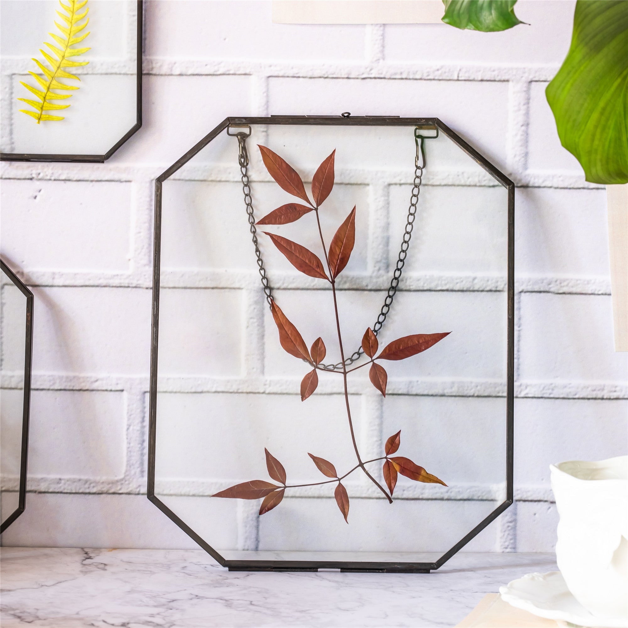 Wall Hanging Black Long Octagon Herbarium Brass Glass Frame for Pressed Flowers Dried floating Frame - NCYPgarden