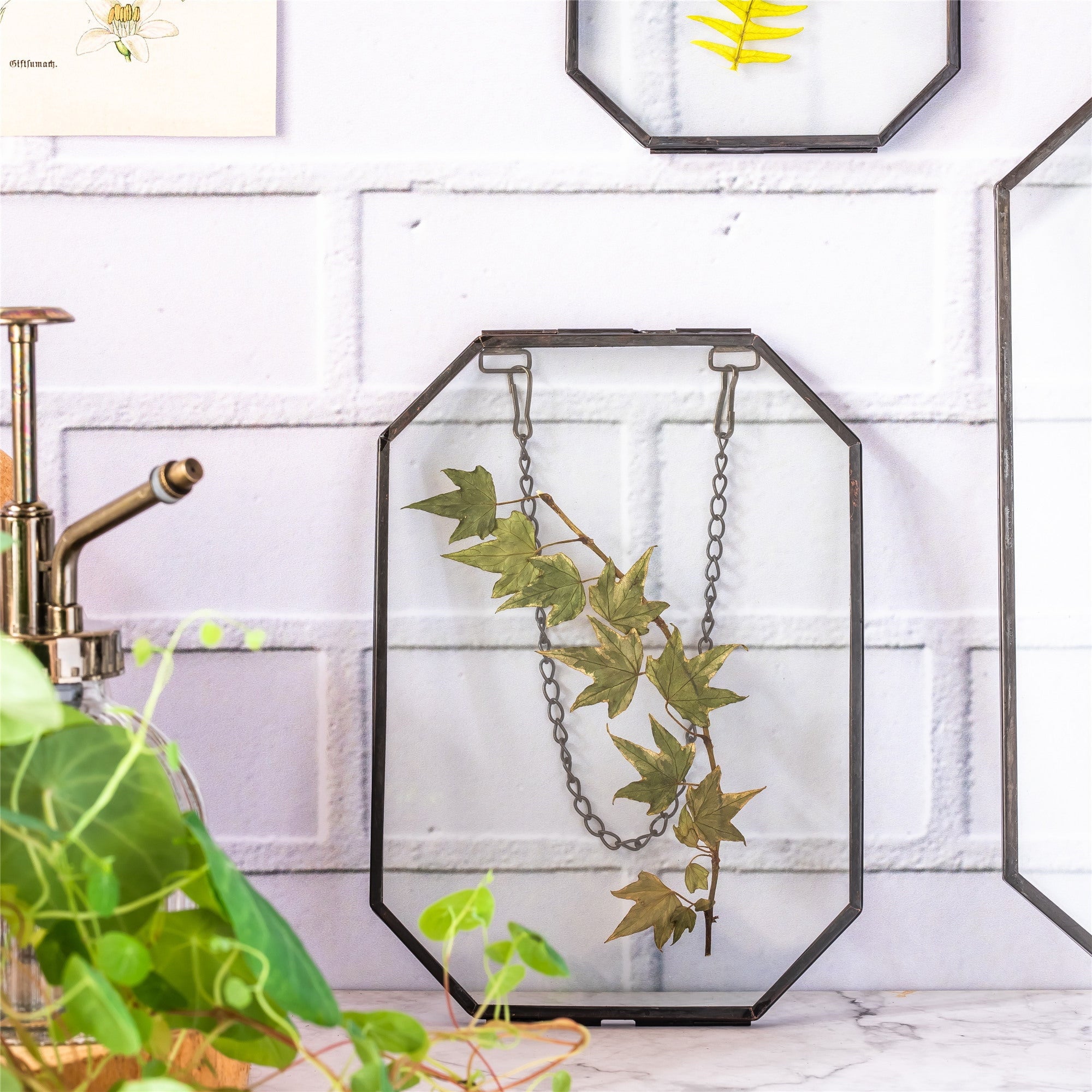 Wall Hanging Black Long Octagon Herbarium Brass Glass Frame for Pressed Flowers Dried floating Frame - NCYPgarden