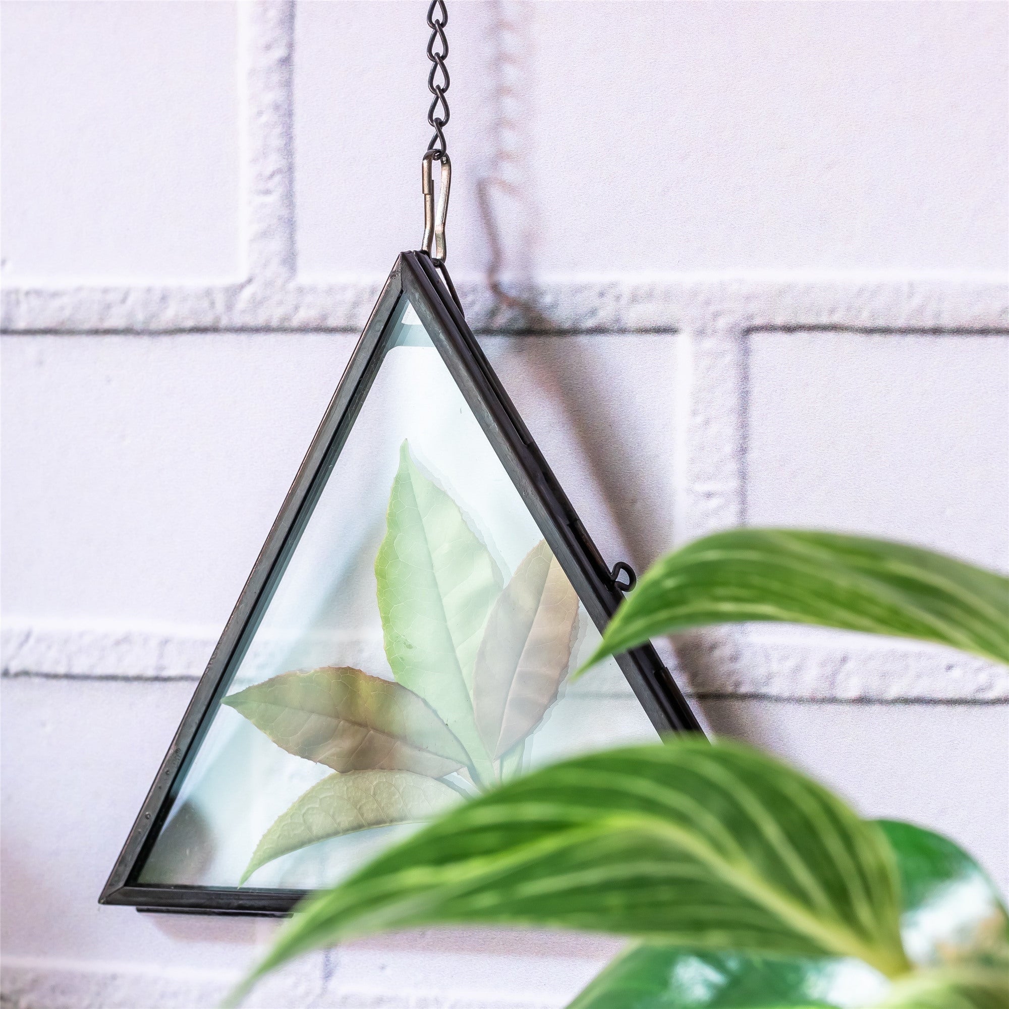 Hanging Black Triangle Herbarium Brass Glass Frame for Pressed Flowers Dried Flowers Poster - NCYPgarden