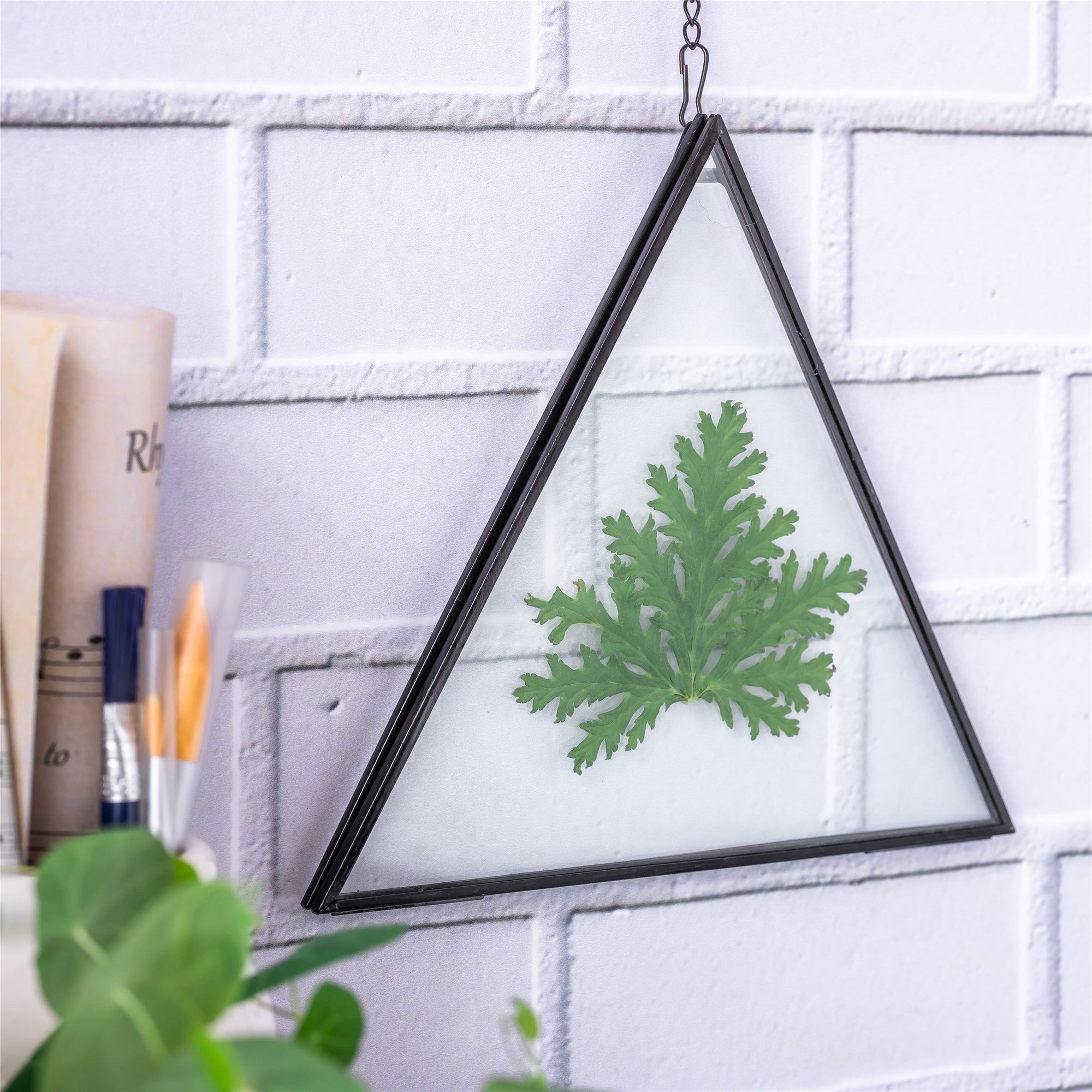 Hanging Black Triangle Herbarium Brass Glass Frame for Pressed Flowers Dried Flowers Poster - NCYPgarden