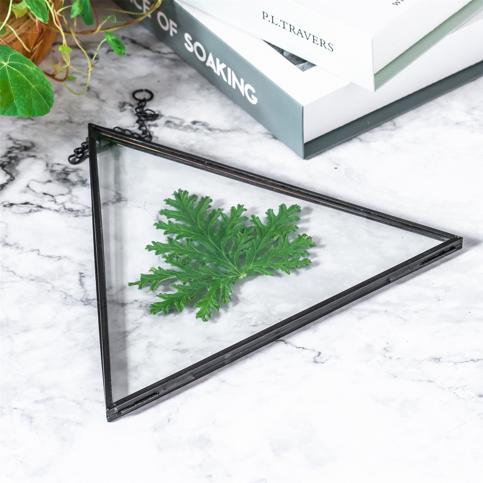 Hanging Black Triangle Herbarium Brass Glass Frame for Pressed Flowers Dried Flowers Poster - NCYPgarden