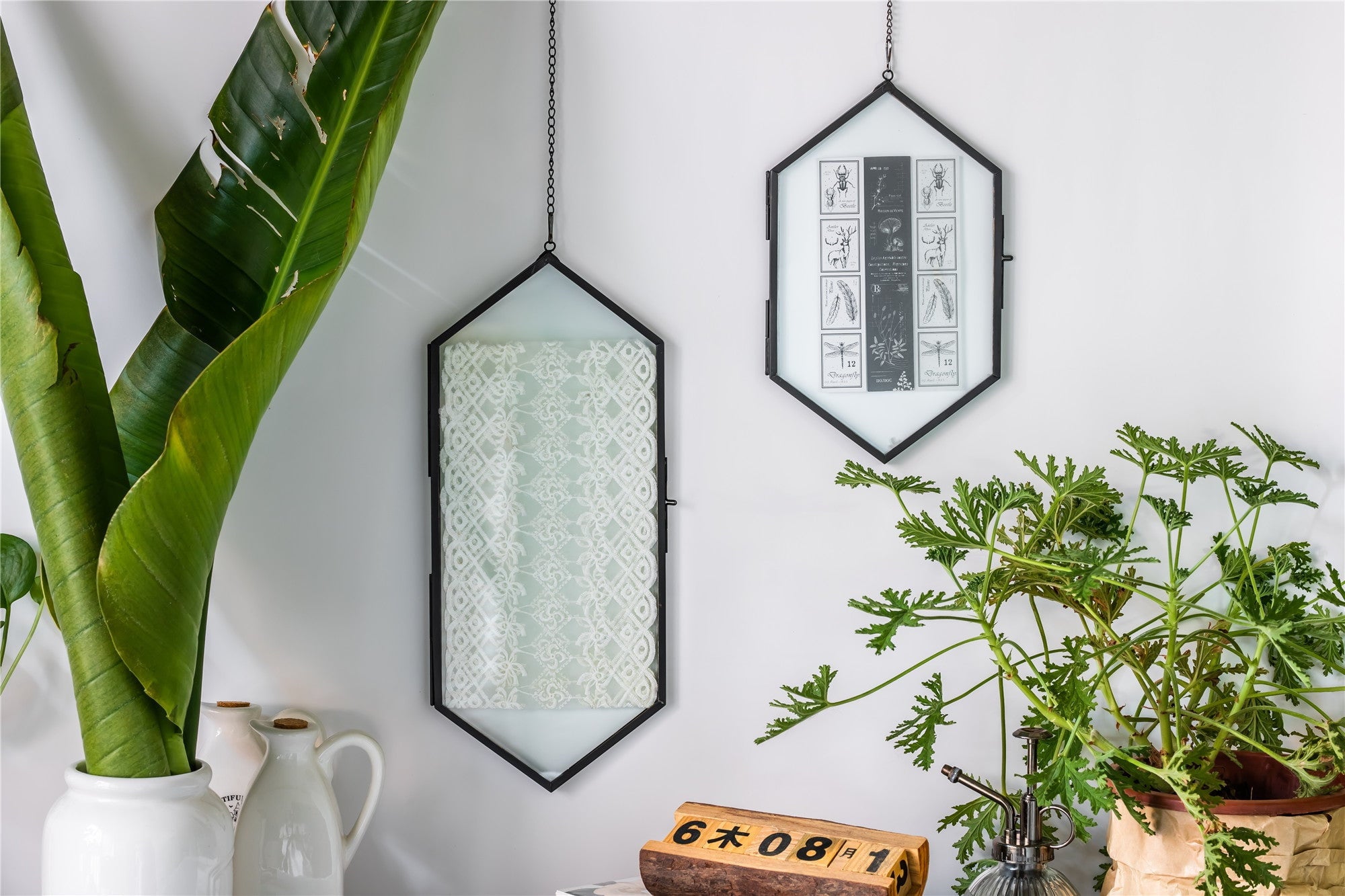 NCYP Vintage Black Brass Floating Hanging Glass Long Hexagon Photo Frame for Fern, Pressed Flower - NCYPgarden