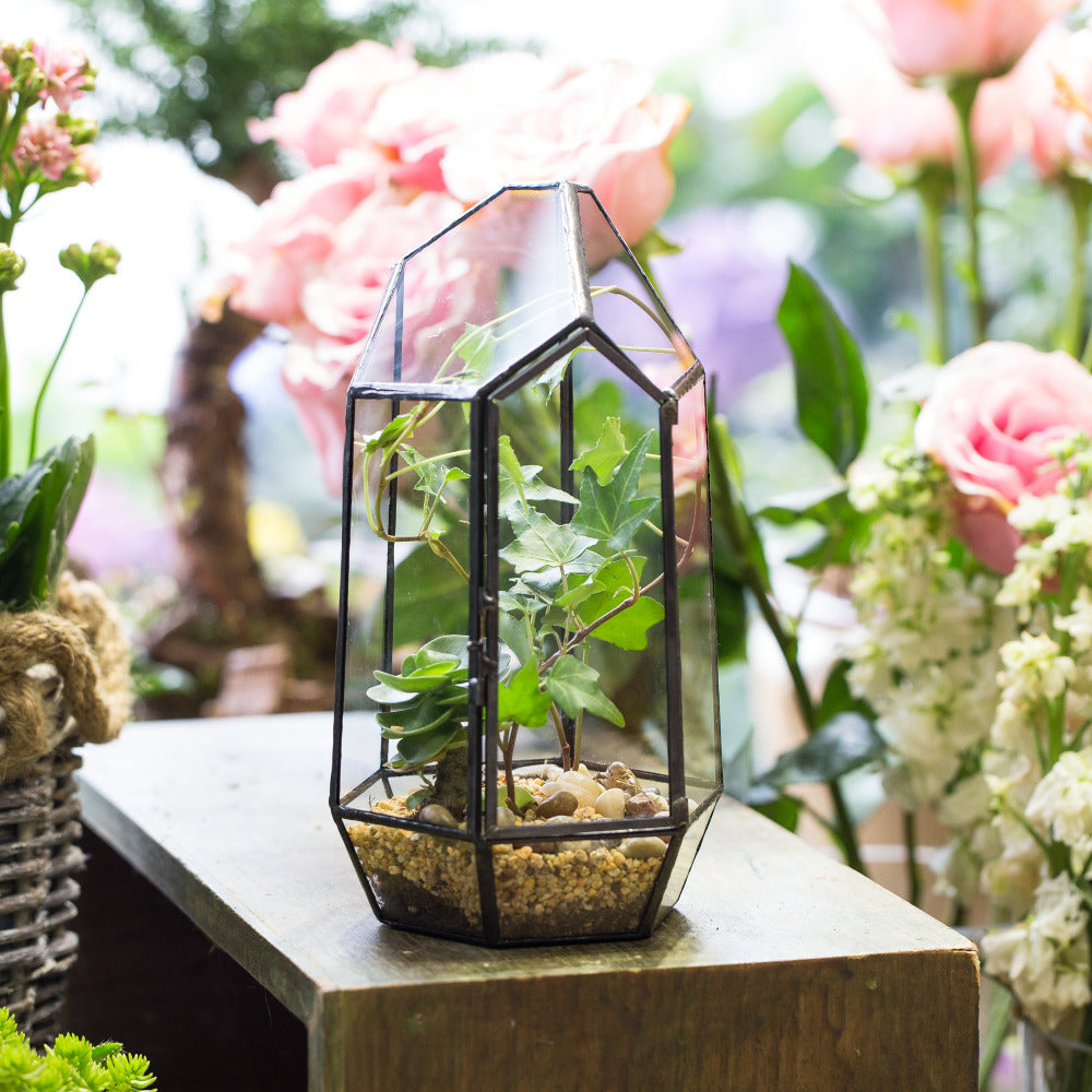 Handmade Black Various Size Irregular Tall Geometric Glass Terrarium Garden Succulents - NCYPgarden