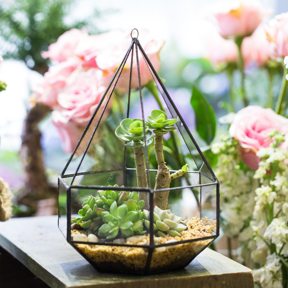 Hanging Six-surface Diamond Glass Geometric Terrarium Wall Mount Hanging Planter with 3 Opening - NCYPgarden