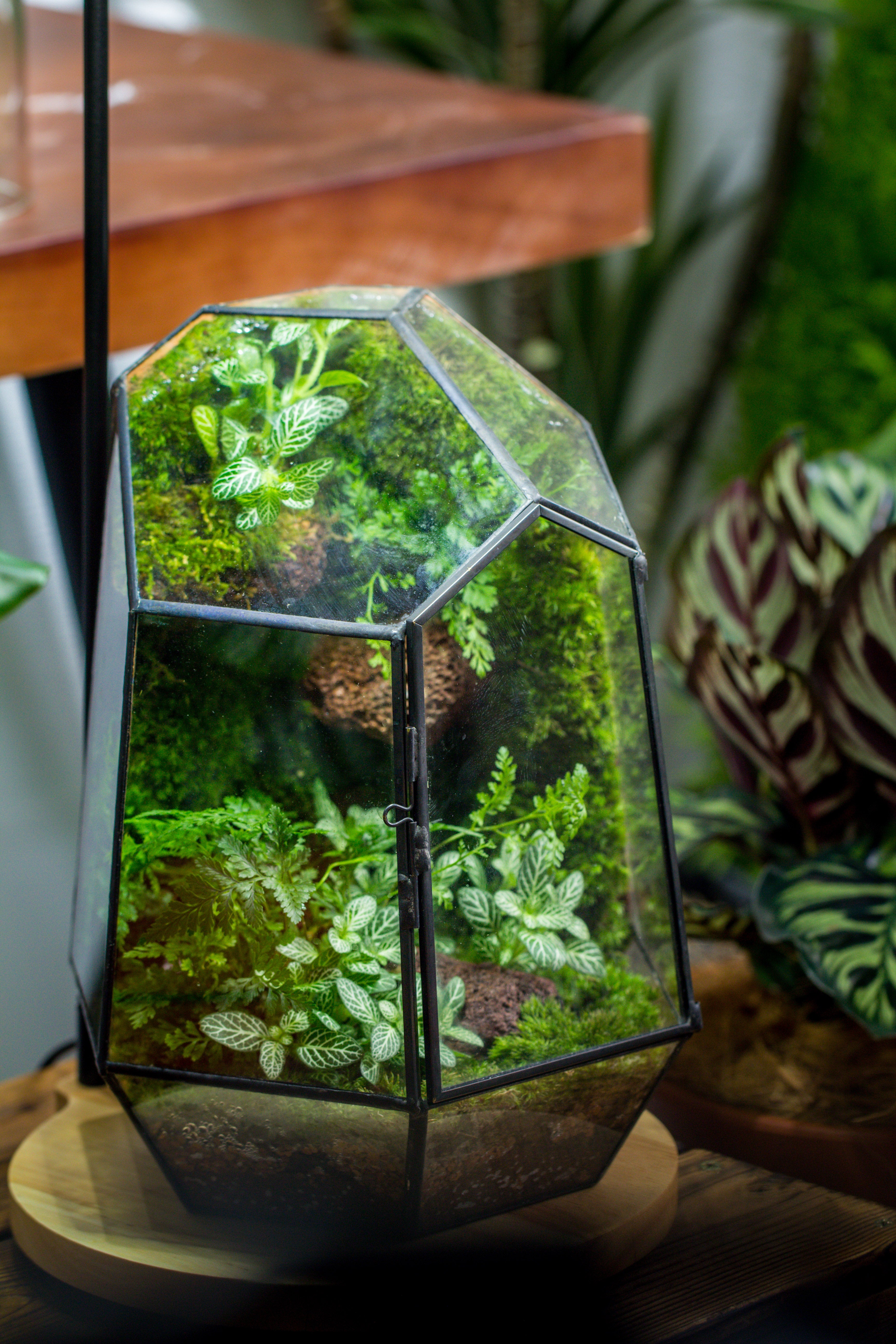 NCYP Close Geometric Glass Terrarium with Door, Tin Sealed Irregular Tall Planter for moss Flower Pot - NCYPgarden