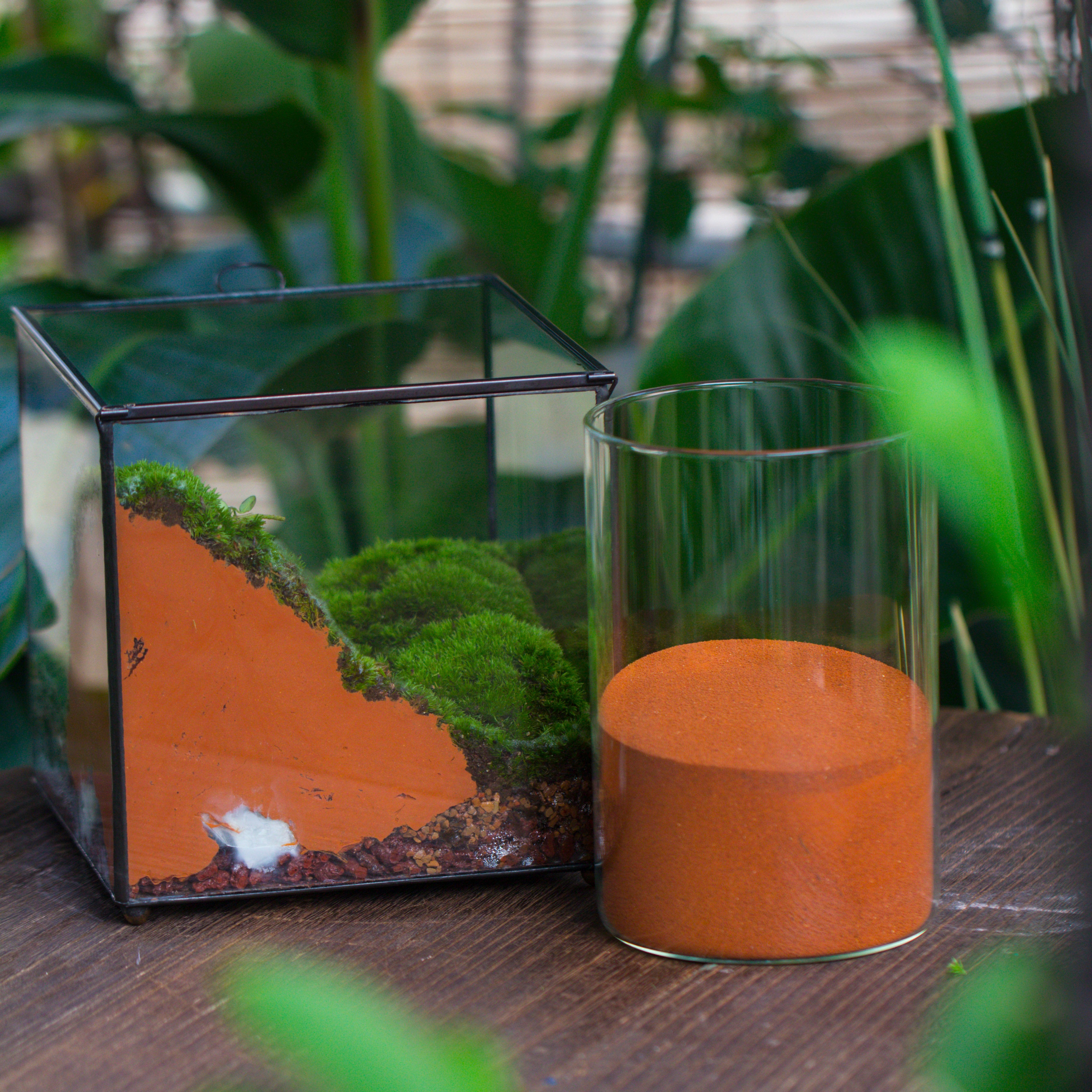 Gardening Plasticine DIY clay for perserved moss, vertical garden