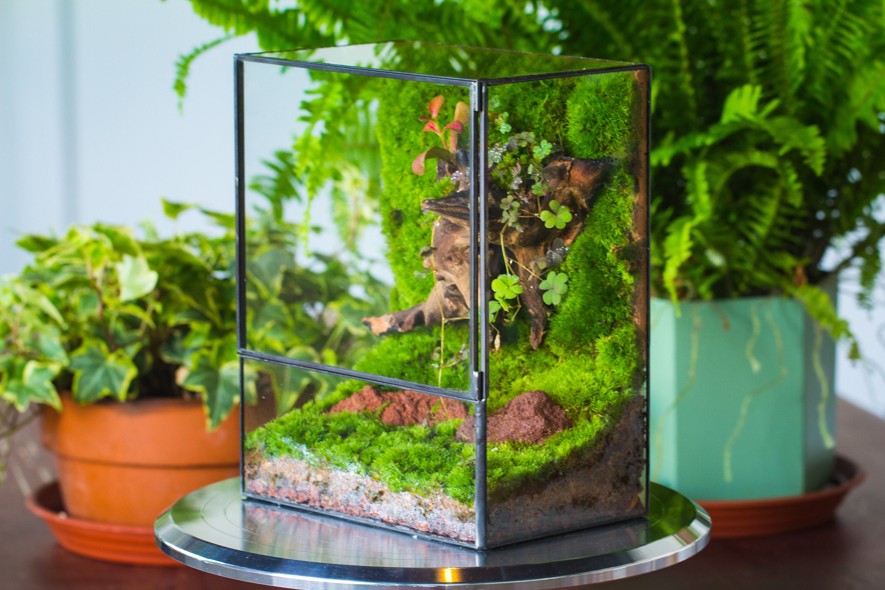 NCYP Close Geometric Glass Terrarium with Door, Tin Sealed  Rectangle Tall Moss wall Planter for Moss Wall, Fern, Landscape - NCYPgarden