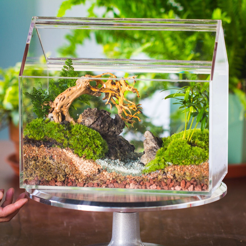 Watertight terrariums | NCYPgarden