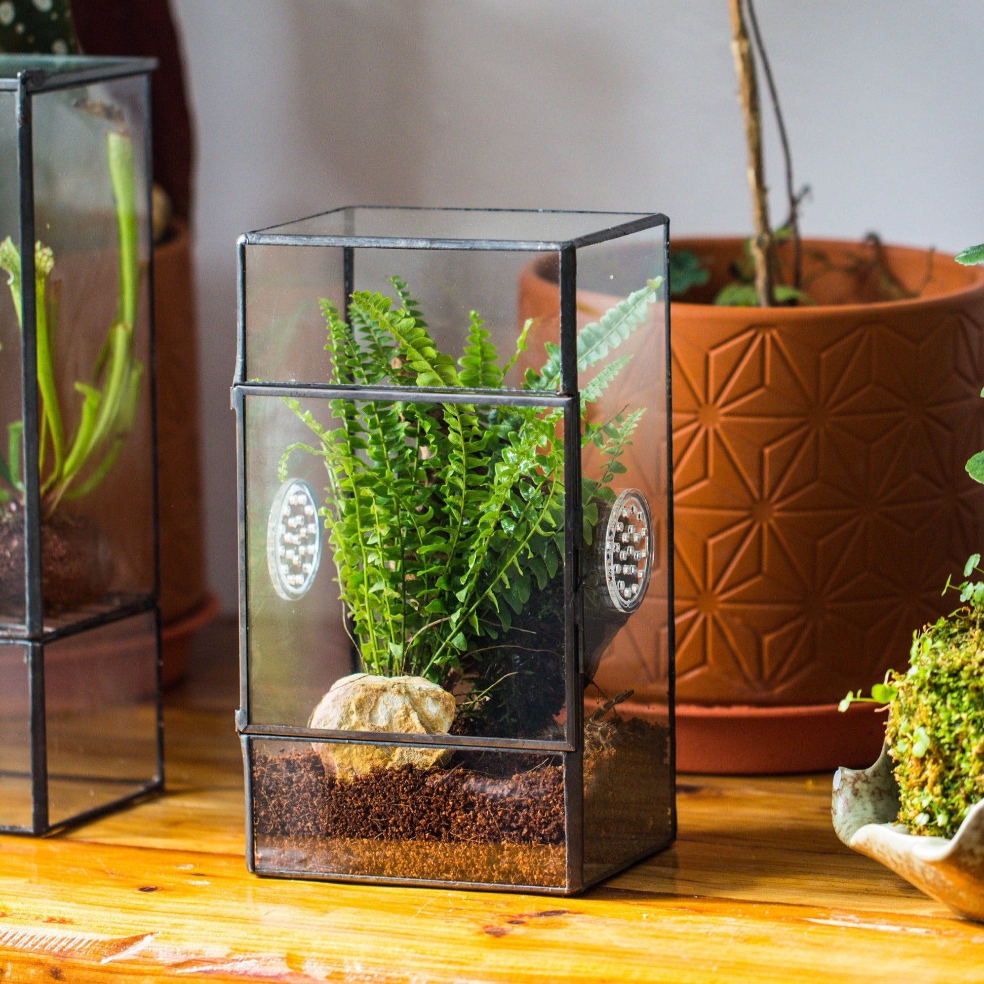 NCYP Rectangle Tin and Glass Geometric Terrarium,  with side door,  with Mesh  / vent holes for small Insects Pet - NCYPgarden