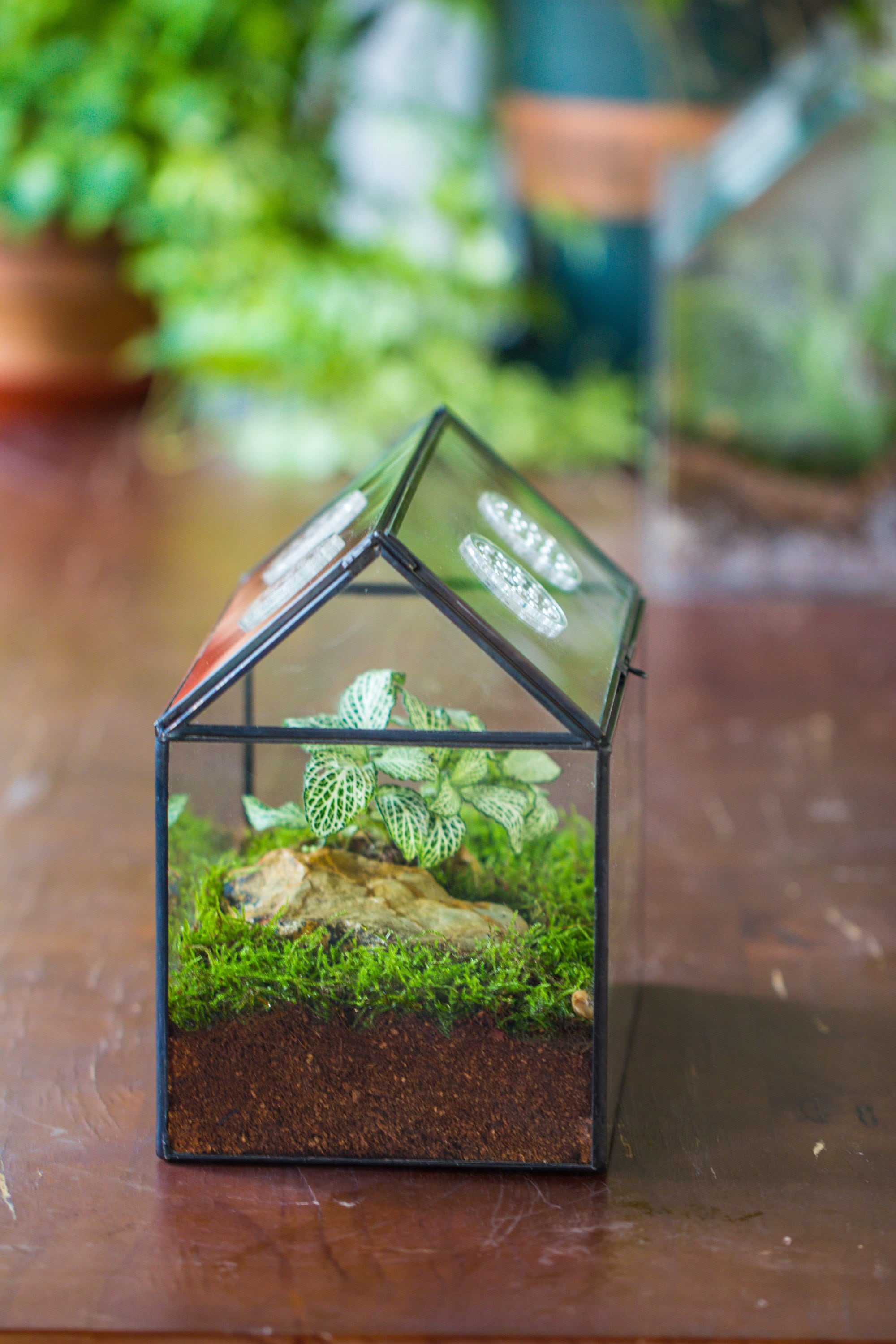 Hot Bombay Furniture Company Bird Cage / Plant Terrarium