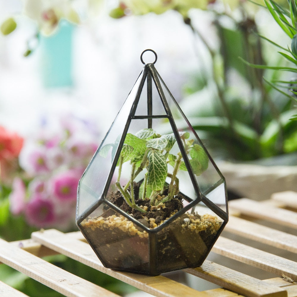 Handmade Artistic Hanging Glass Teardrop Diamond Geometric Terrarium with Loop for Succulent Moss - NCYPgarden