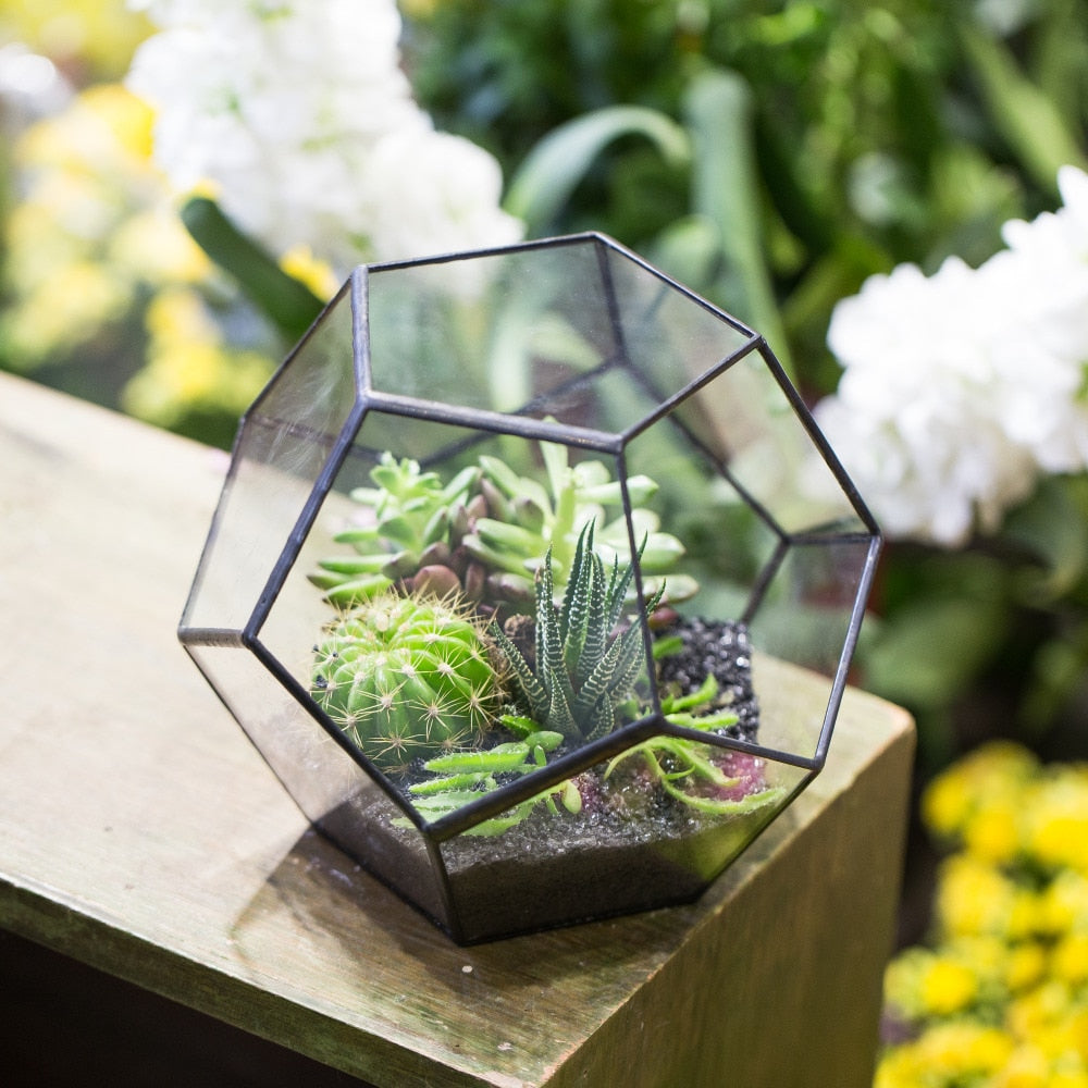 Handmade Tabletop Polyhedron Glass Geometric Terrarium for Succulent Fern Moss Air Plant - NCYPgarden