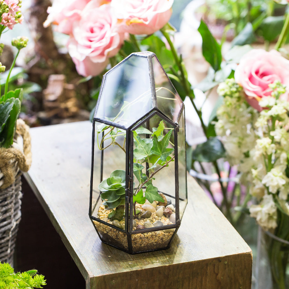 Handmade Black Various Size Irregular Tall Geometric Glass Terrarium Garden Succulents - NCYPgarden