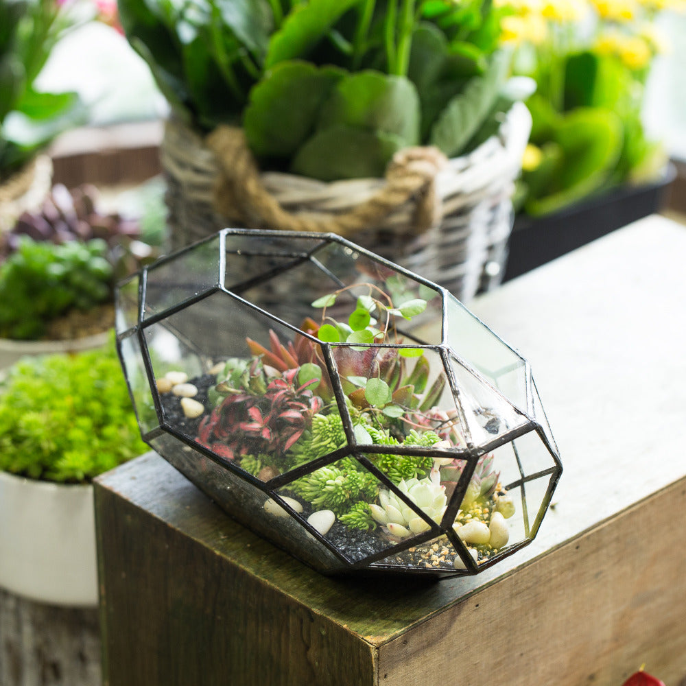 Handmade 11" Height Long Irregular Oval Geometric Glass Terrarium Lantern for Fern Moss Succulents - NCYPgarden