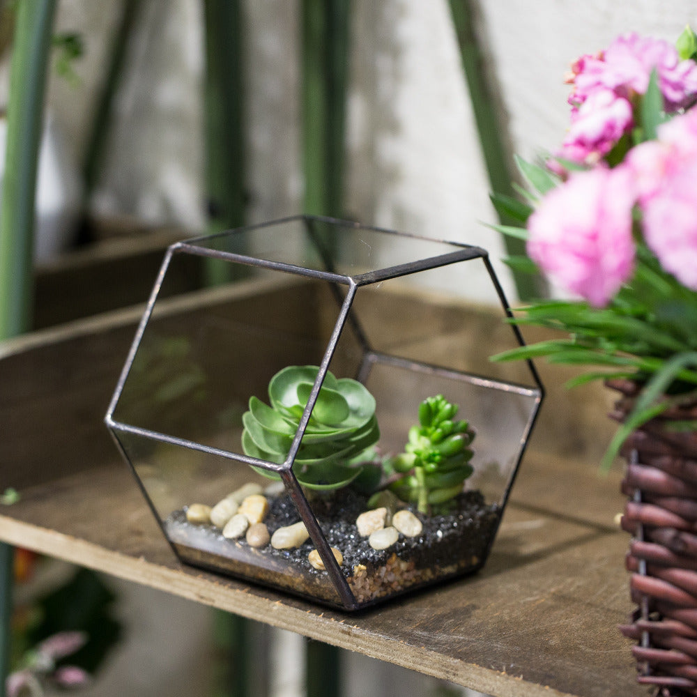 Hexagonal box for planting, storage, decoration or really shops whatever