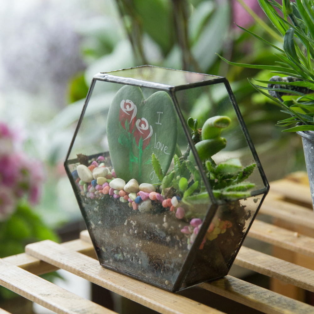 Hexagon Glass Terrarium popular hangers/Succulent Display Hangers/ Hexagon Wall decor