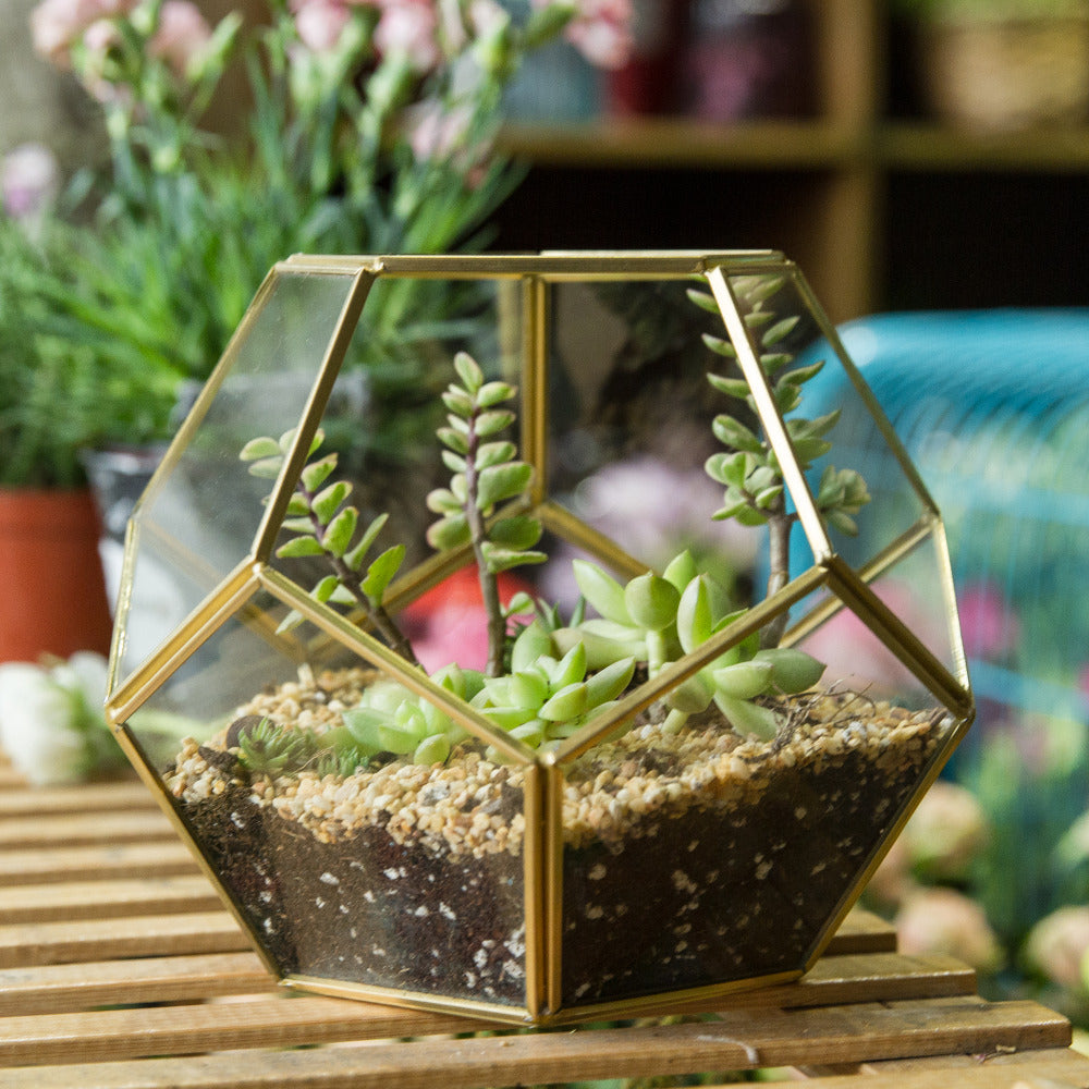 Handmade Gold Pentagon Geometric Glass Terrarium for Succulent Moss Airplants Wedding - NCYPgarden