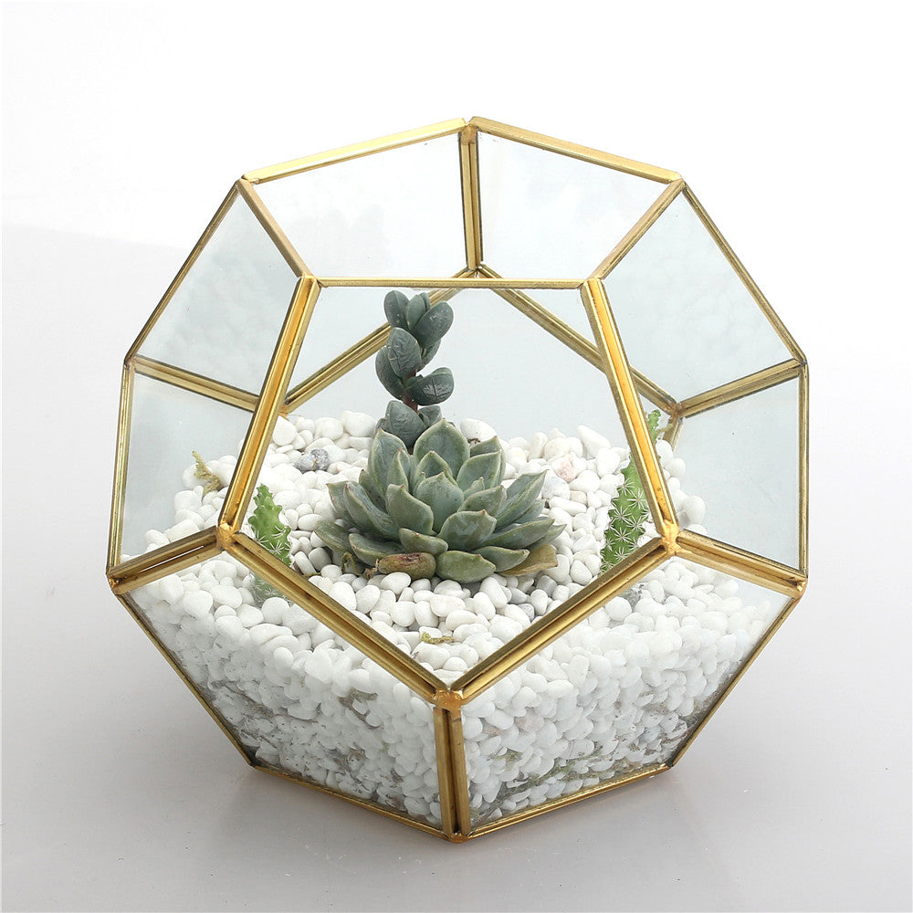 Handmade Gold Pentagon Geometric Glass Terrarium for Succulent Moss Airplants Wedding - NCYPgarden