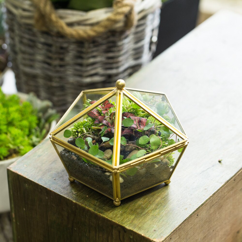 Handmade Gold Artistic Tabletop Glass Geometric Terrarium Jewel-boxed Shape with Lid for Succulent - NCYPgarden