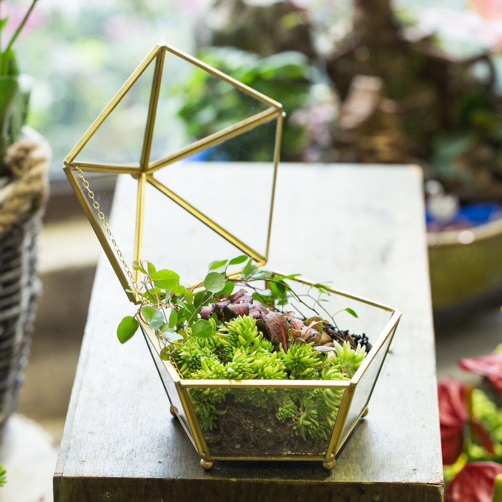 Handmade Gold Artistic Tabletop Glass Geometric Terrarium Jewel-boxed Shape with Lid for Succulent - NCYPgarden