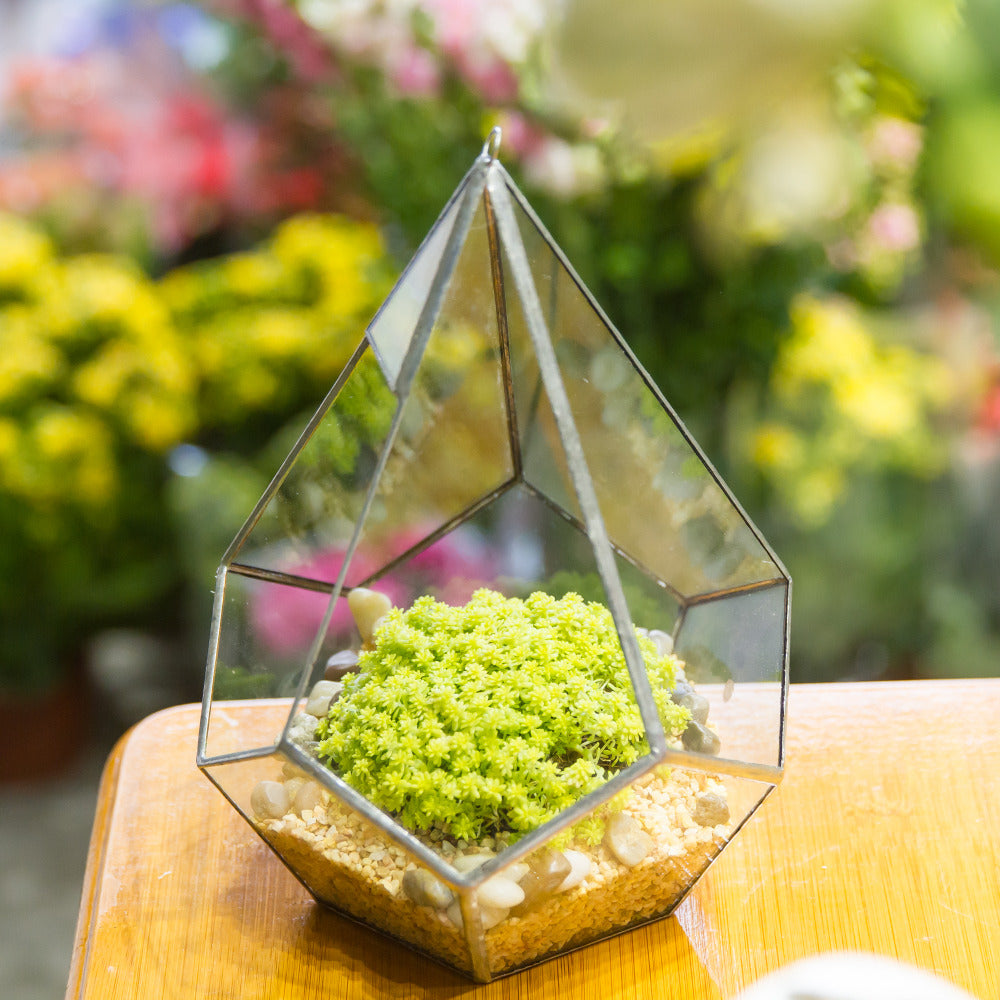 Handmade Silver Hanging Teardrop Shape Geometric Glass Terrarium for Succulent Moss Fern - NCYPgarden