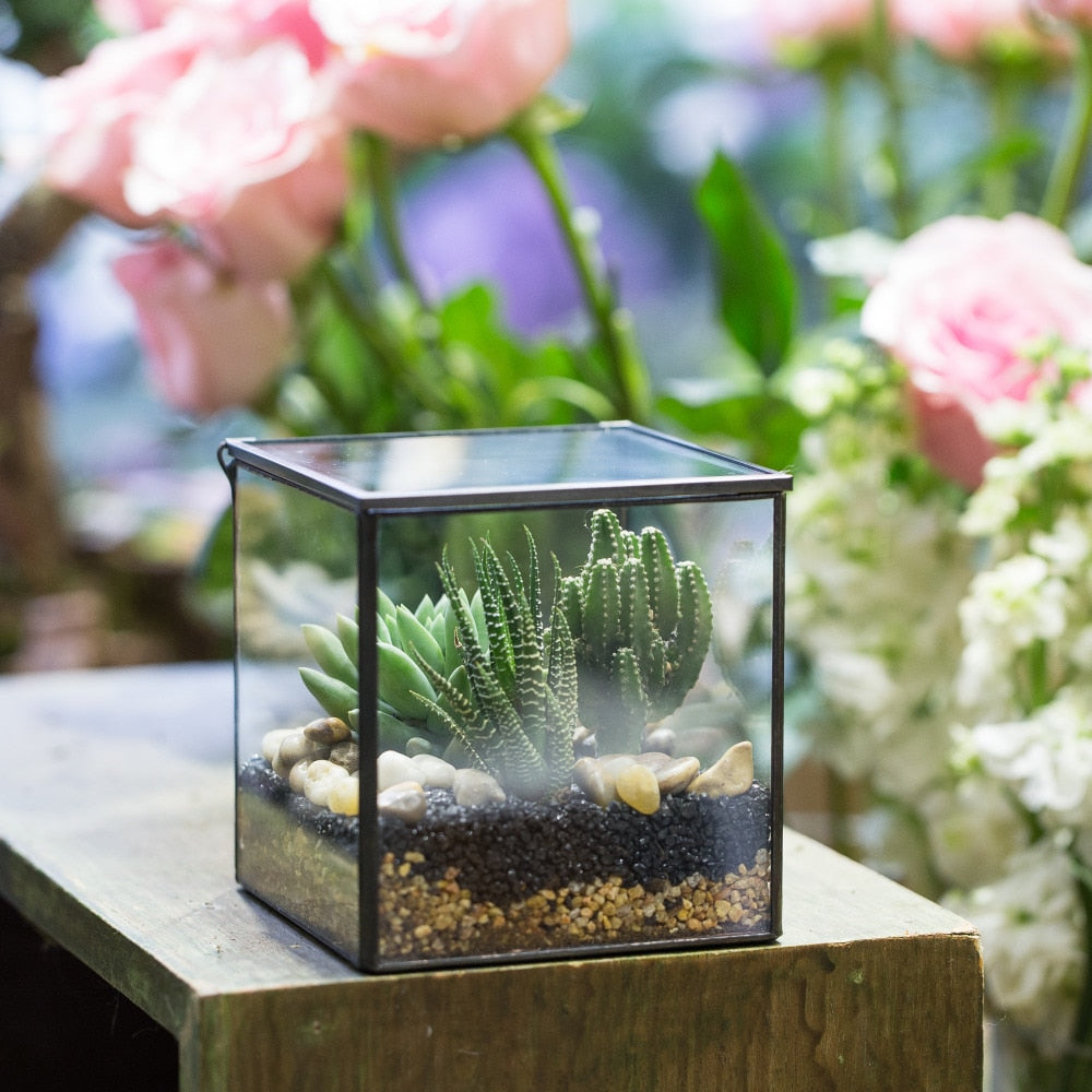 Handmade Square Glass Geometric Terrarium with Lid for Fern Moss Succulents Cacti - NCYPgarden