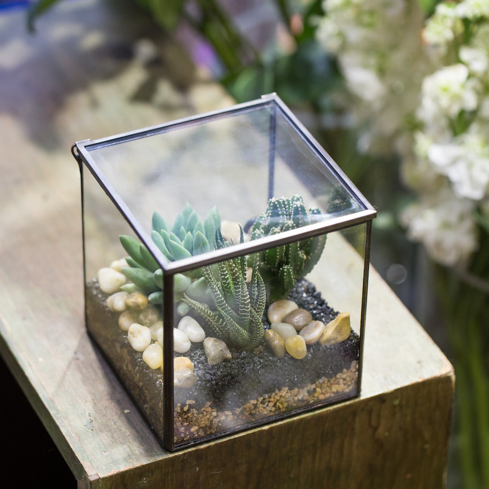 Handmade Square Glass Geometric Terrarium with Lid for Fern Moss Succulents Cacti - NCYPgarden