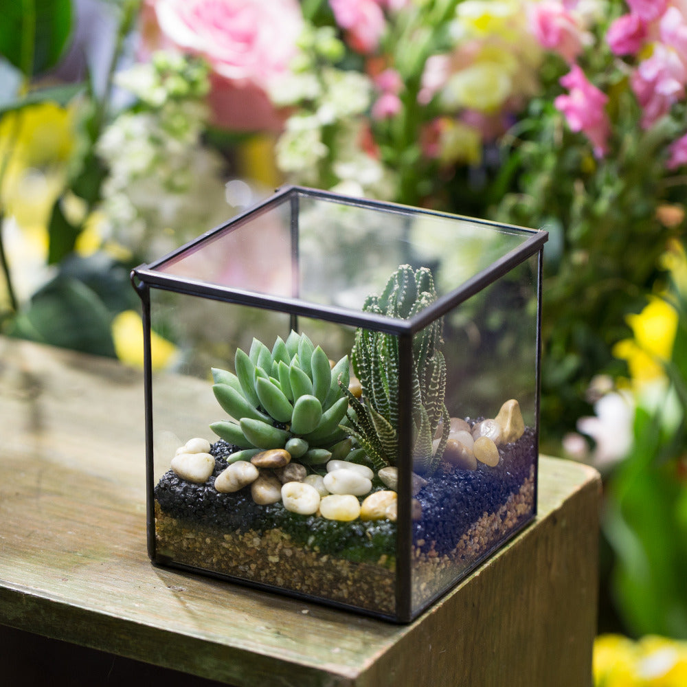 Handmade Square Glass Geometric Terrarium with Lid for Fern Moss Succulents Cacti - NCYPgarden