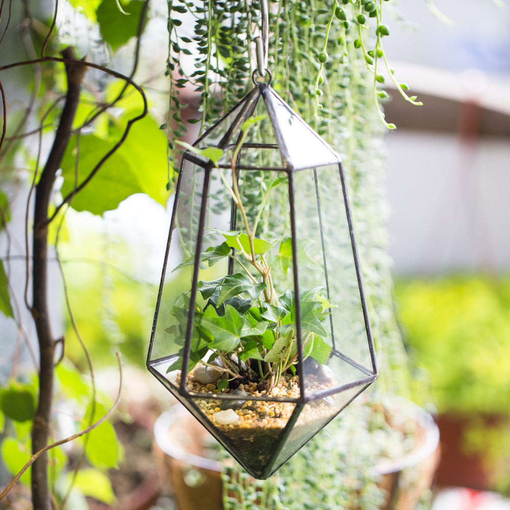 Six-Sided outlet Cube Glass Terrarium Aqua/Clear/Copper