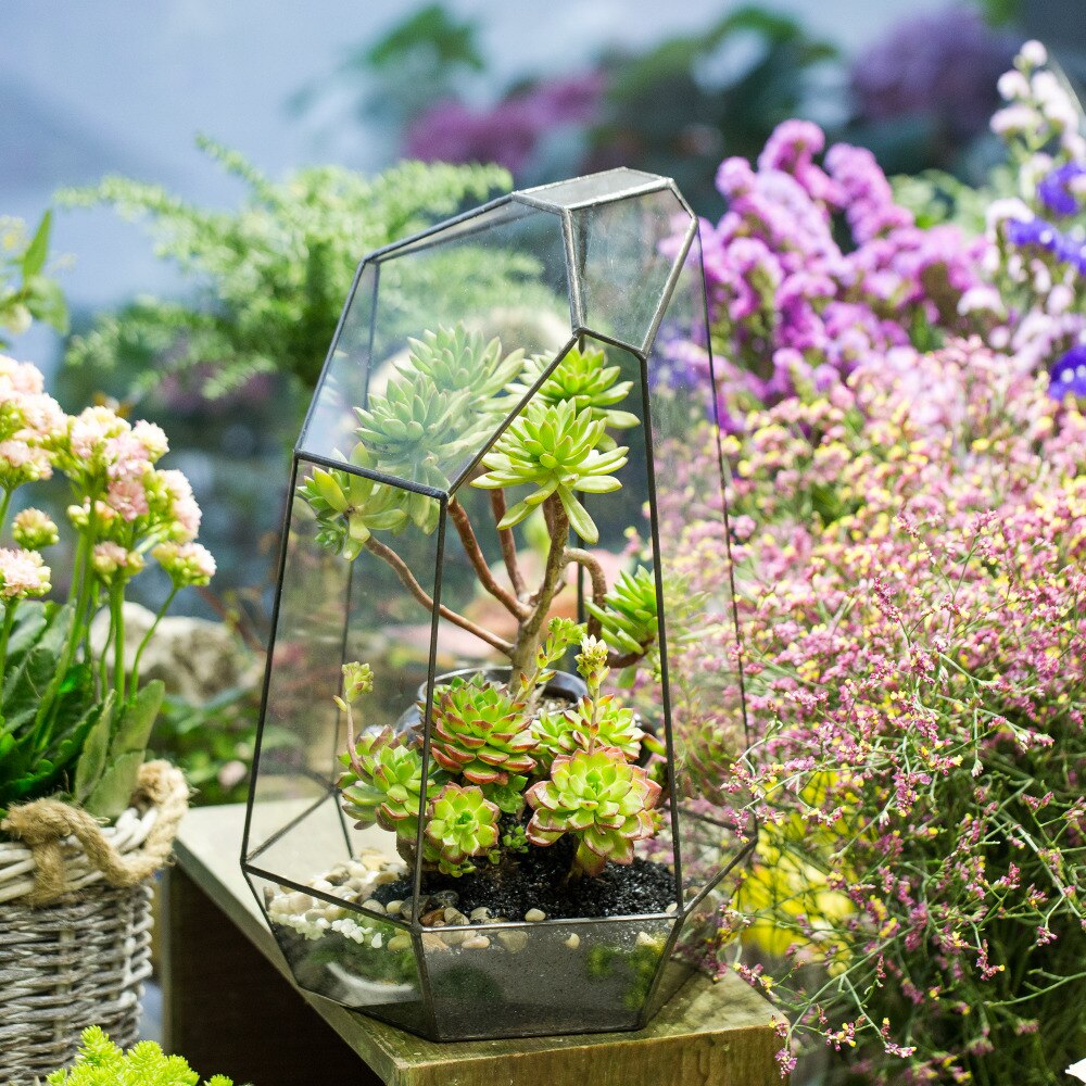 Handmade 41cm / 16" Tall Irregular Open Glass Geometric Terrarium Box for Succulent Moss  Airplants - NCYPgarden