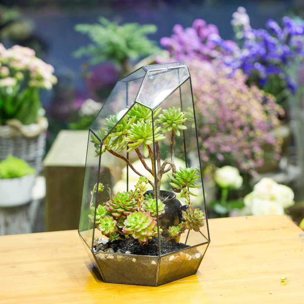 Handmade 41cm / 16" Tall Irregular Open Glass Geometric Terrarium Box for Succulent Moss  Airplants - NCYPgarden