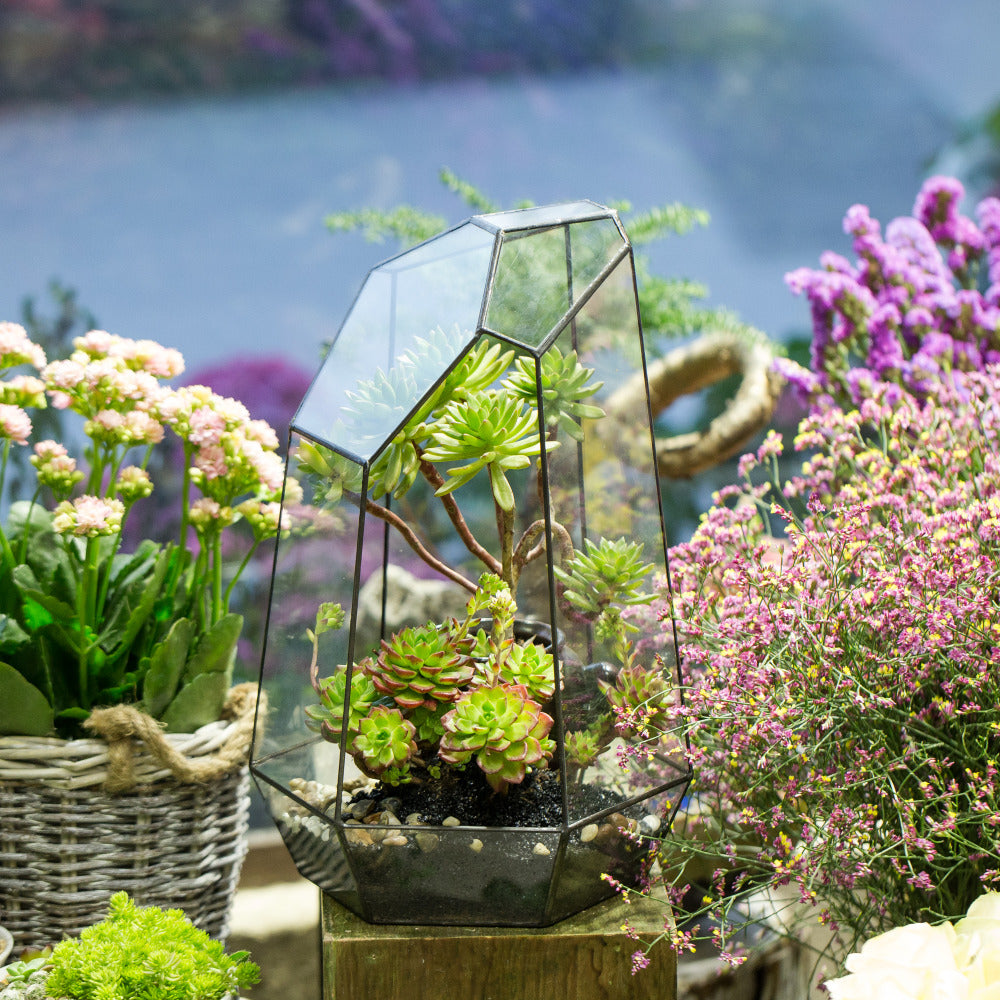 Handmade 41cm / 16" Tall Irregular Open Glass Geometric Terrarium Box for Succulent Moss  Airplants - NCYPgarden