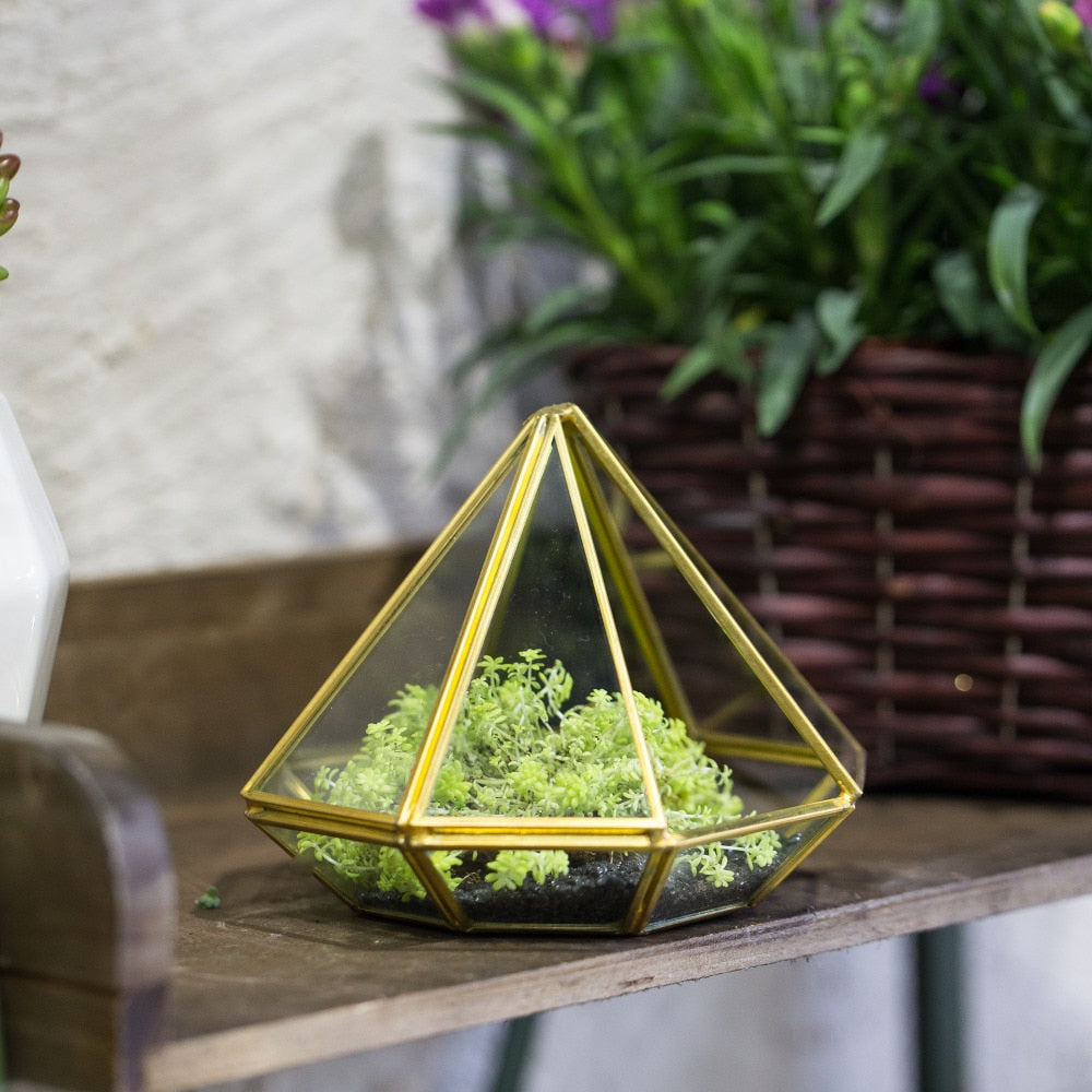 Handmade Side Open Gold Diamond Shape Glass Geometric Terrarium for Centerpiece Succulent Moss - NCYPgarden