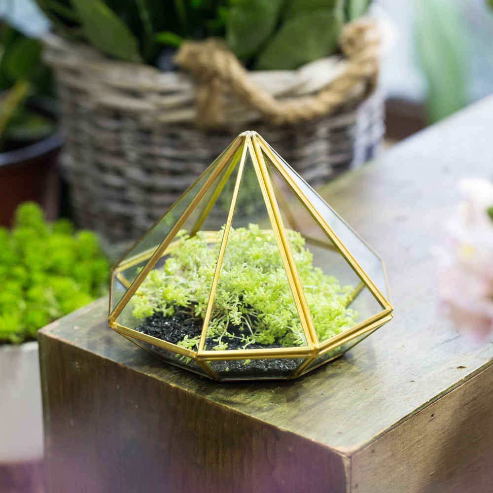 Handmade Side Open Gold Diamond Shape Glass Geometric Terrarium for Centerpiece Succulent Moss - NCYPgarden