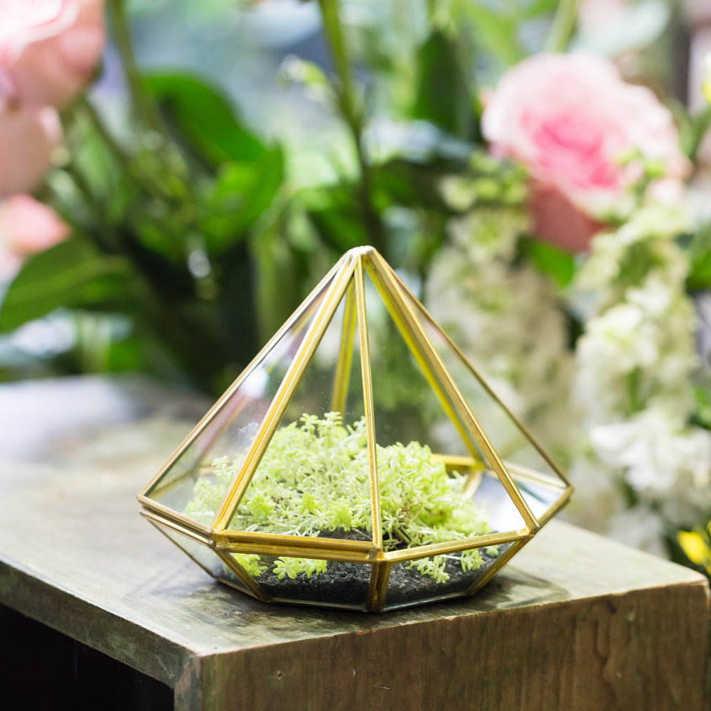 Handmade Side Open Gold Diamond Shape Glass Geometric Terrarium for Centerpiece Succulent Moss - NCYPgarden