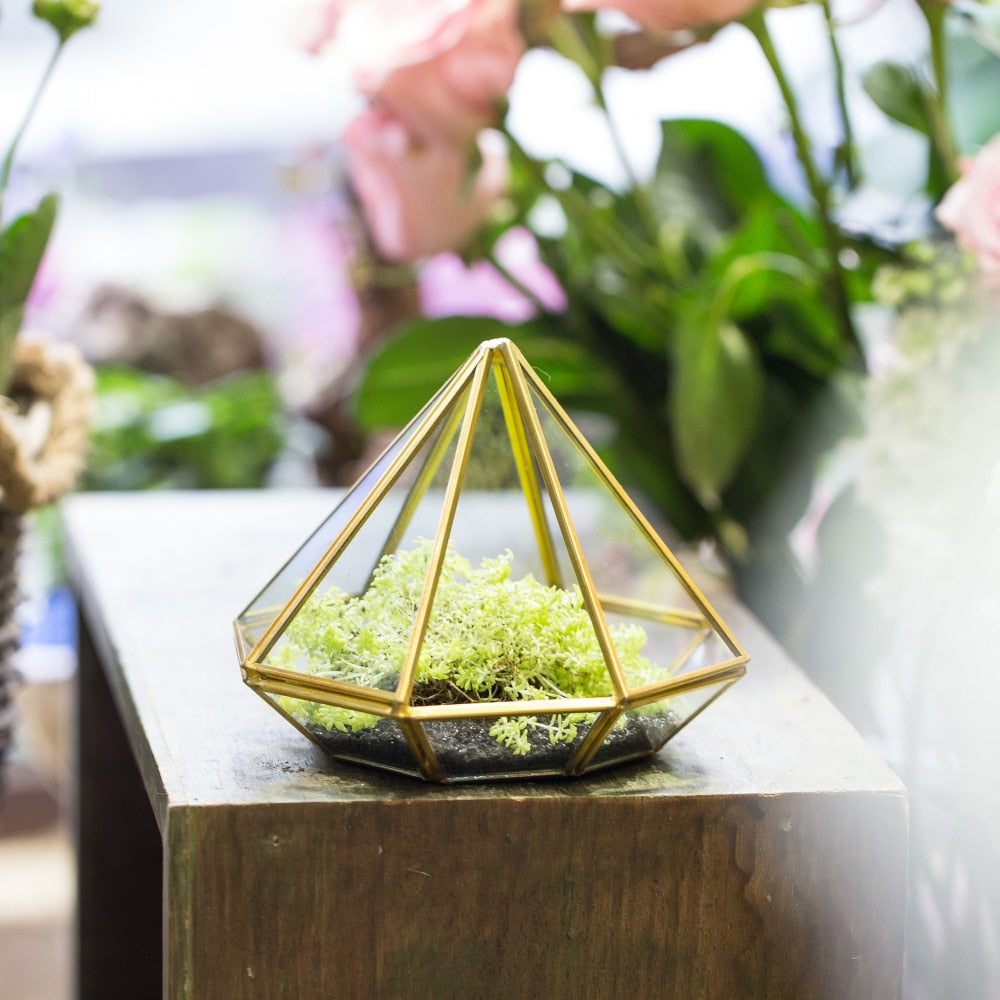 Handmade Side Open Gold Diamond Shape Glass Geometric Terrarium for Centerpiece Succulent Moss - NCYPgarden