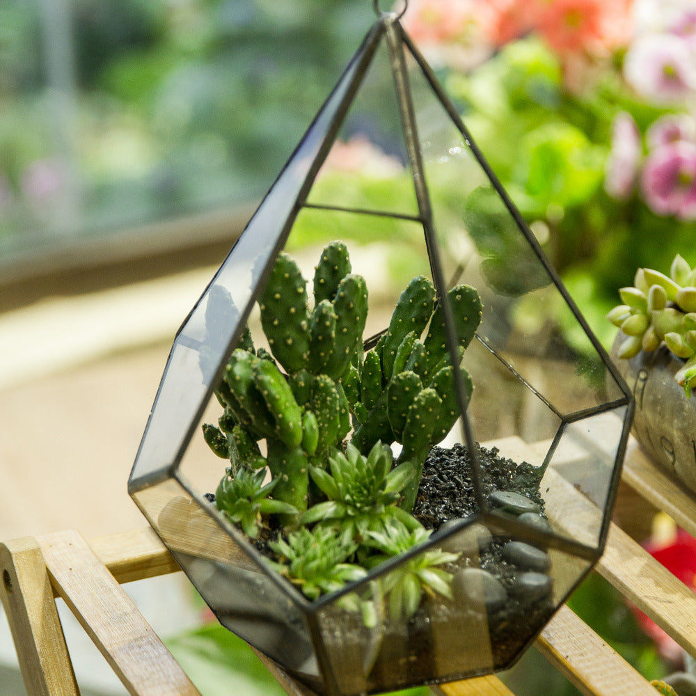 Handmade Black Hanging Teardrop Shape Glass Geometric Terrarium for Succulents Cacti - NCYPgarden