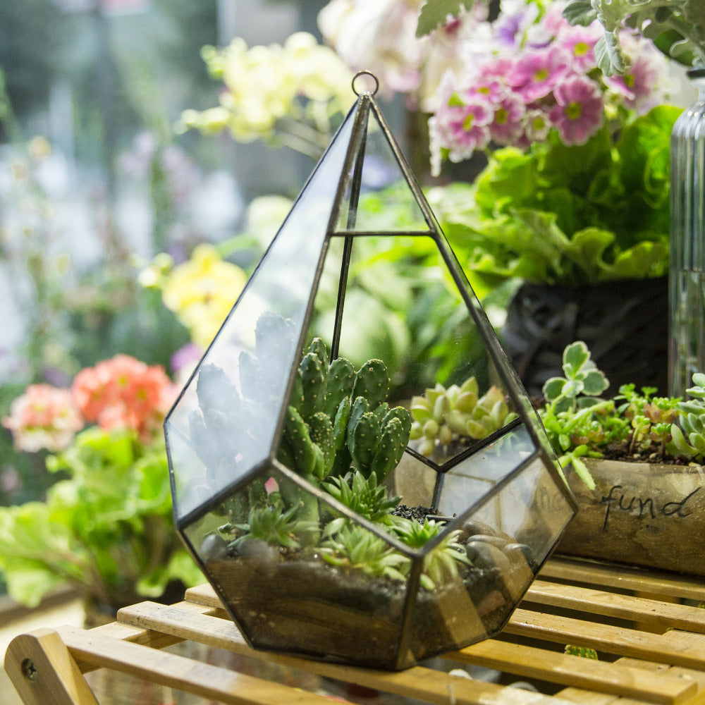 Handmade Black Hanging Teardrop Shape Glass Geometric Terrarium for Succulents Cacti - NCYPgarden