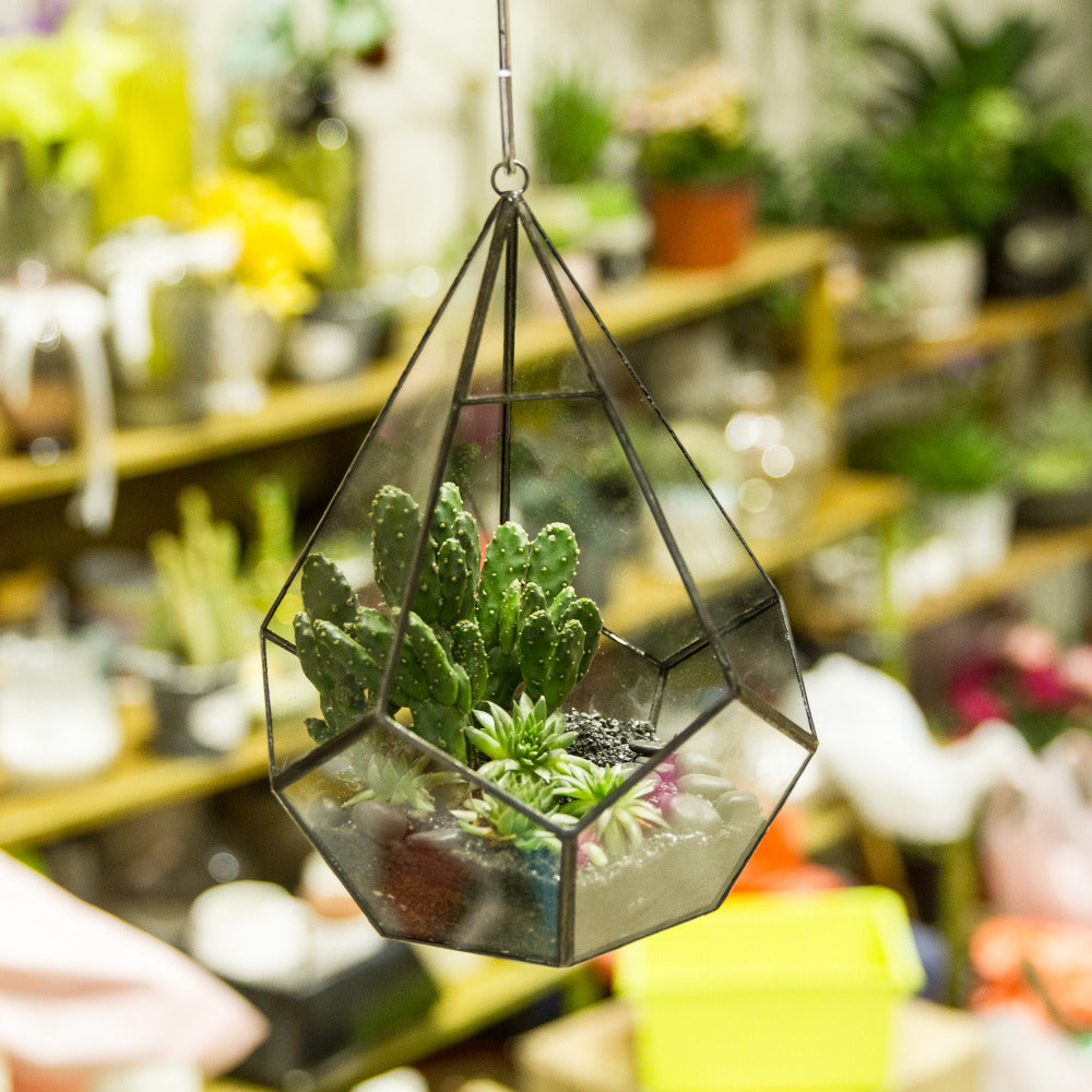 Handmade Black Hanging Teardrop Shape Glass Geometric Terrarium for Succulents Cacti - NCYPgarden