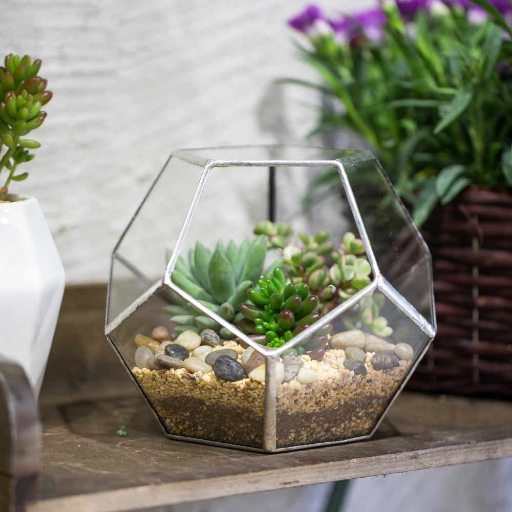 Handmade Tabletop Polyhedron Glass Geometric Terrarium for Succulent Fern Moss Air Plant - NCYPgarden