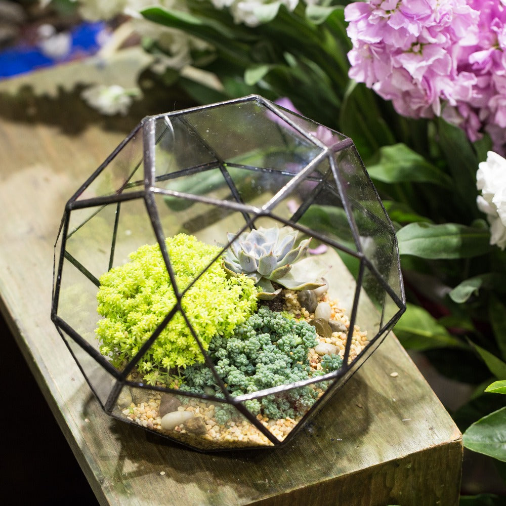 Handmade Triangular Pentagon Mix 32-Sides Clear Glass Geometric Centerpiece Terrarium for Succulents - NCYPgarden