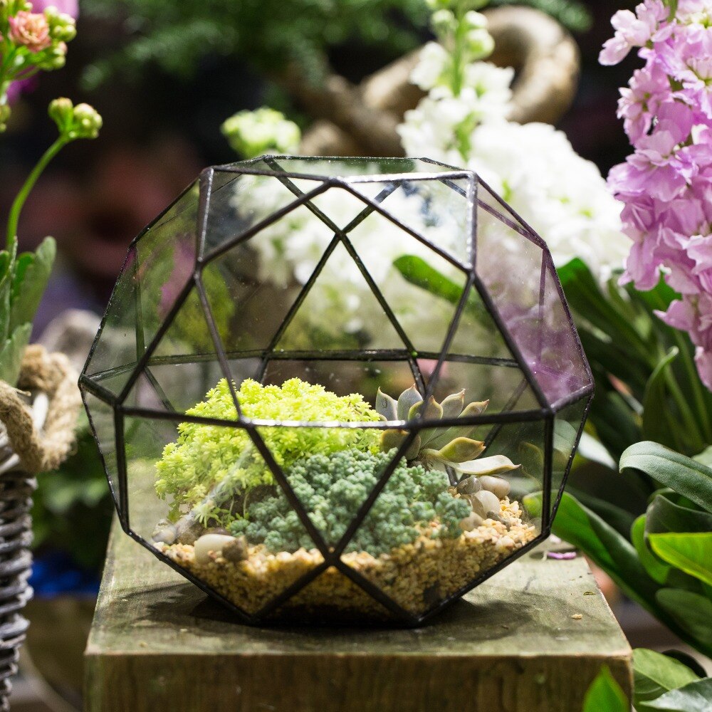 Handmade Triangular Pentagon Mix 32-Sides Clear Glass Geometric Centerpiece Terrarium for Succulents - NCYPgarden