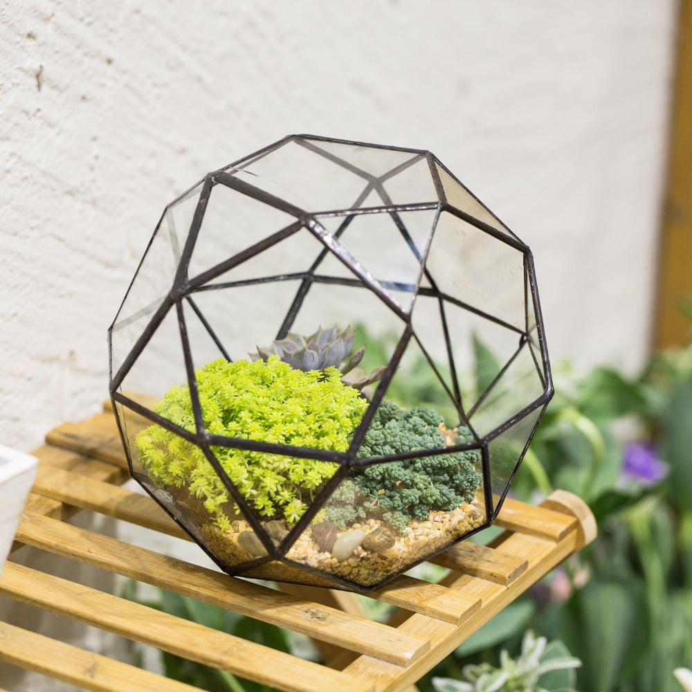 Handmade Triangular Pentagon Mix 32-Sides Clear Glass Geometric Centerpiece Terrarium for Succulents - NCYPgarden