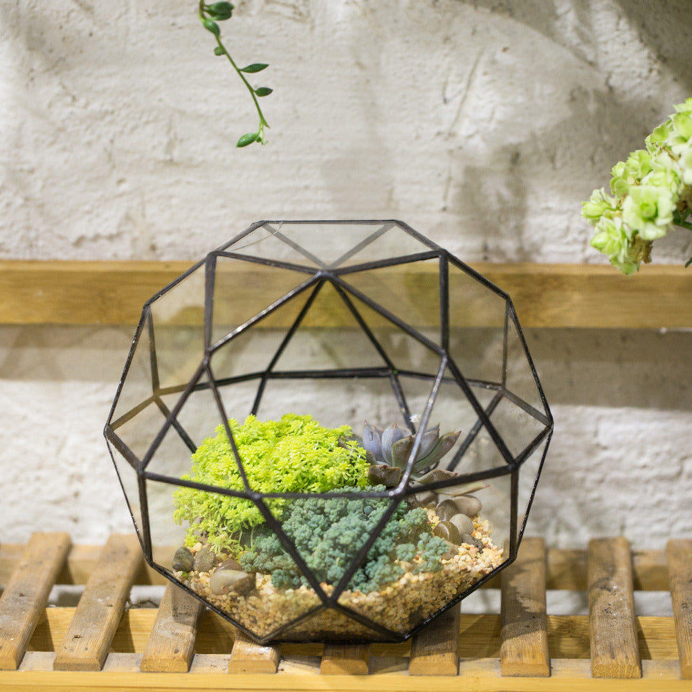 Handmade Triangular Pentagon Mix 32-Sides Clear Glass Geometric Centerpiece Terrarium for Succulents - NCYPgarden